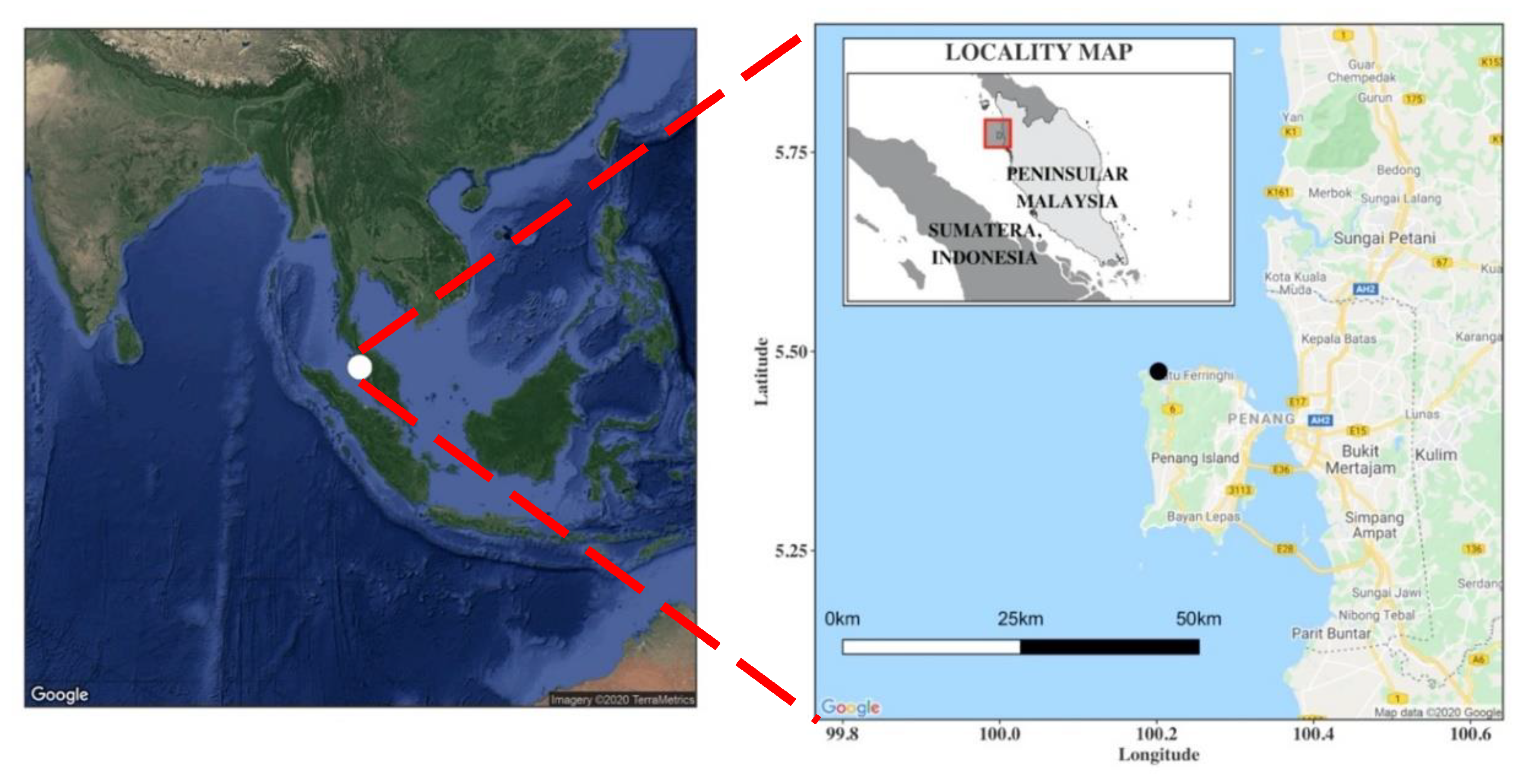 Sustainability 12 09397 g002 Sustainability 12 09397 g002