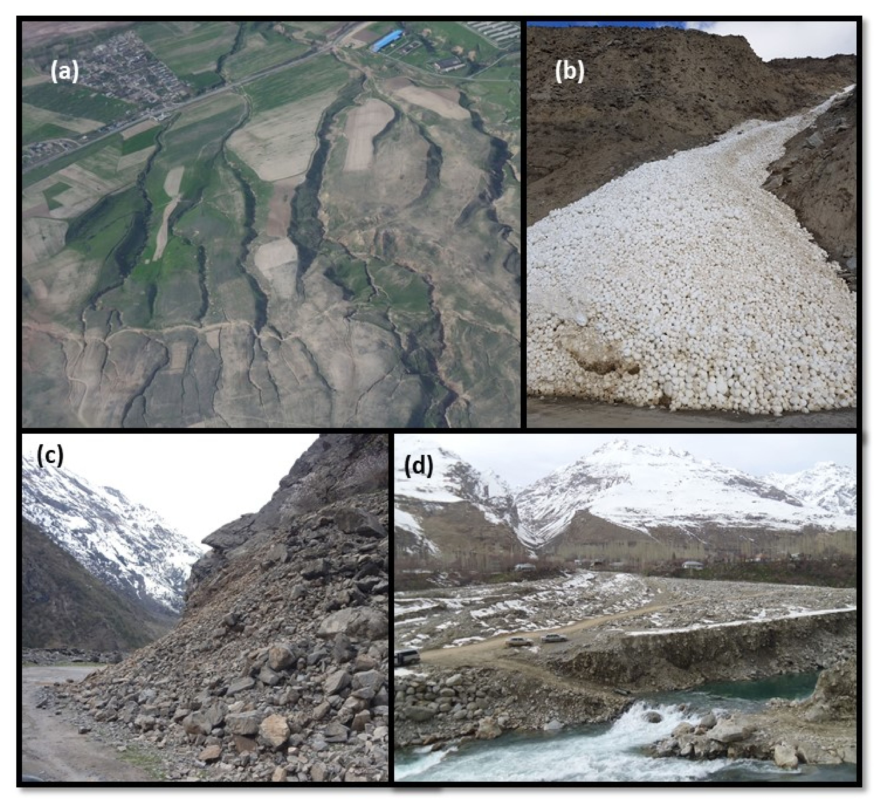 Sustainability 12 09467 g003