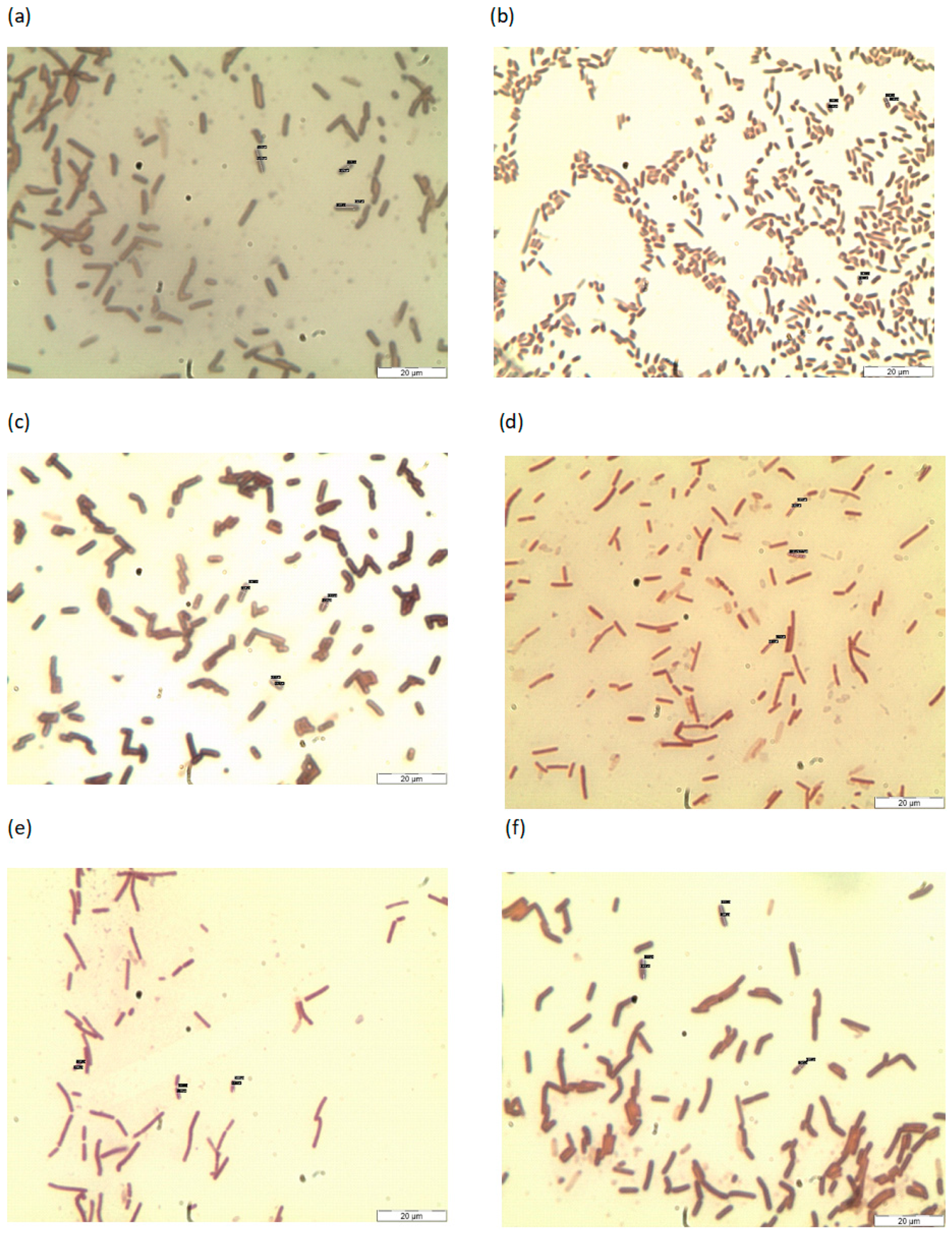 Sustainability 12 09468 g001 Sustainability 12 09468 g001