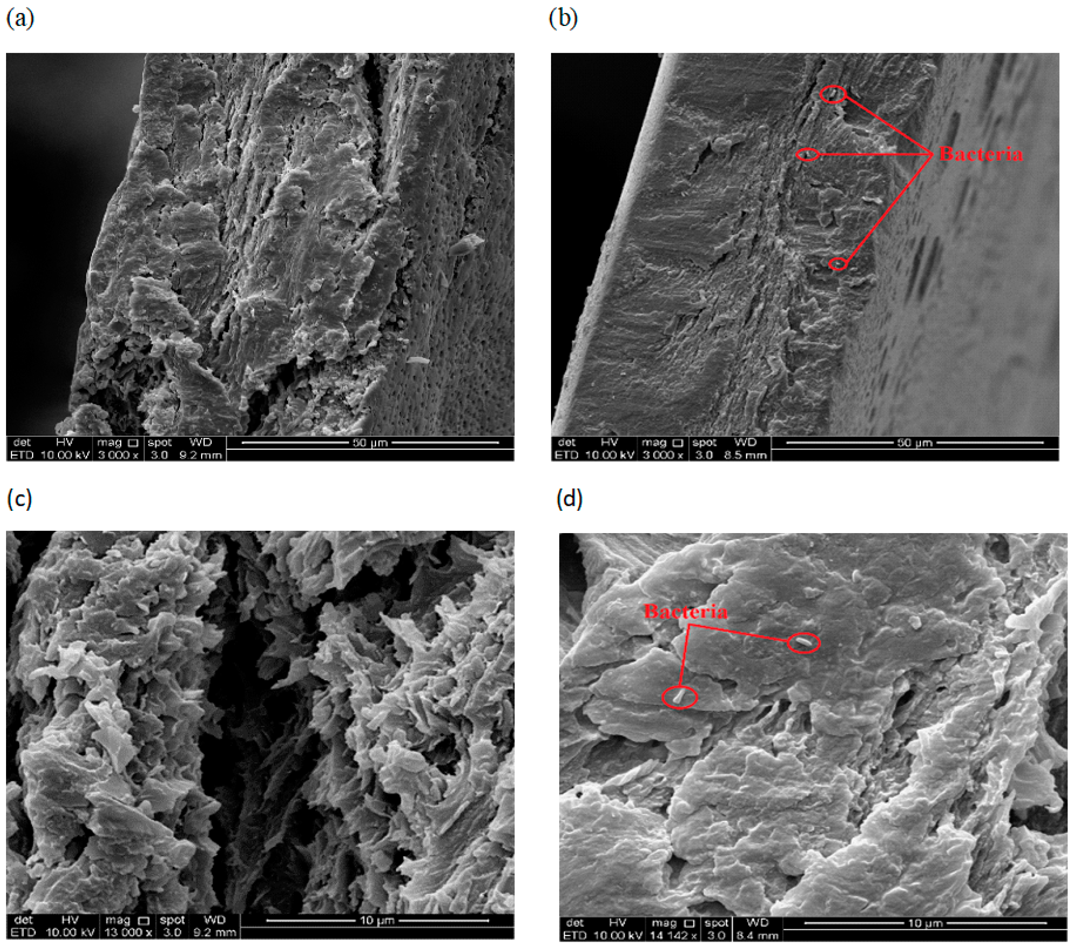 Sustainability 12 09468 g003 Sustainability 12 09468 g003