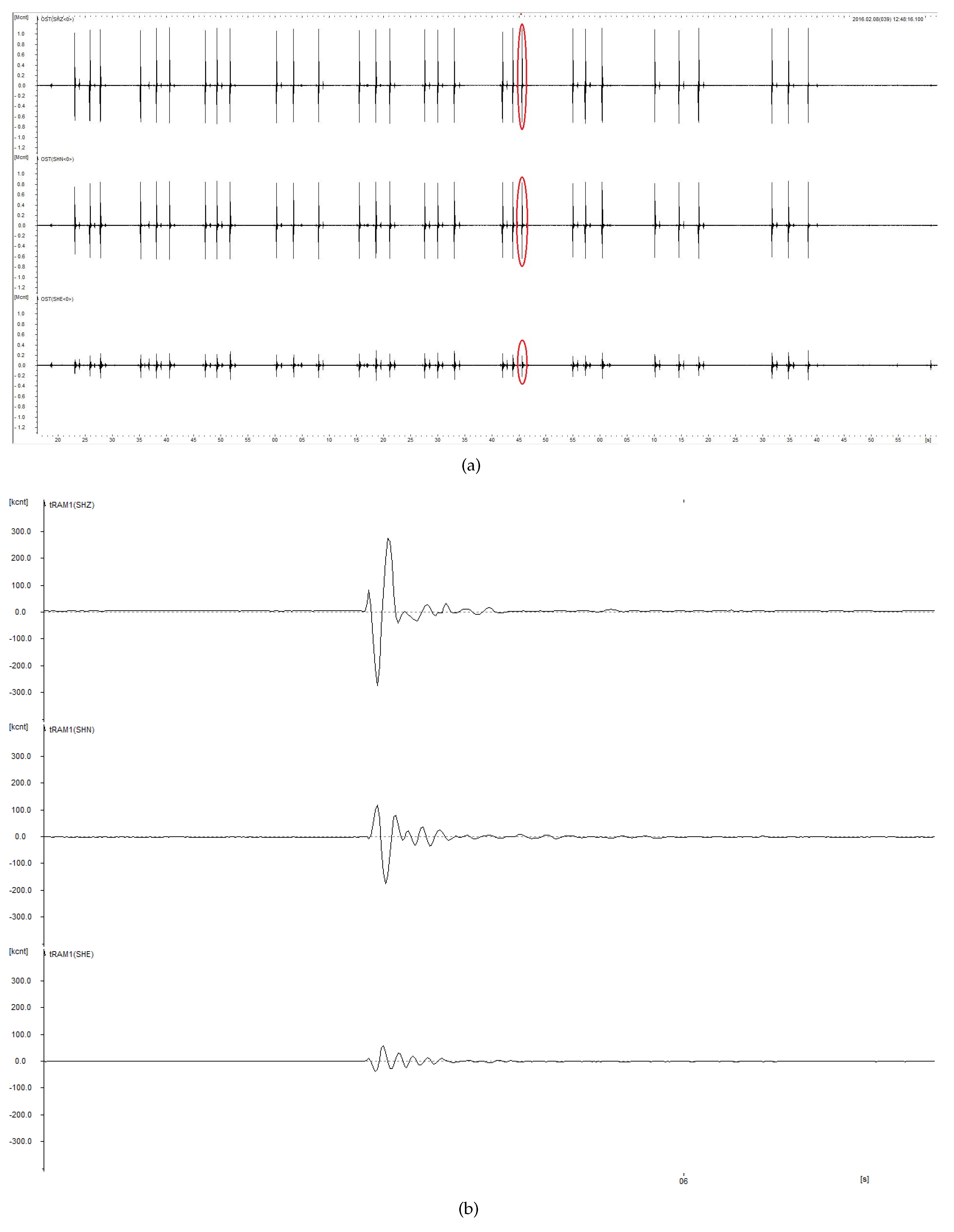 Sustainability 12 09530 g002