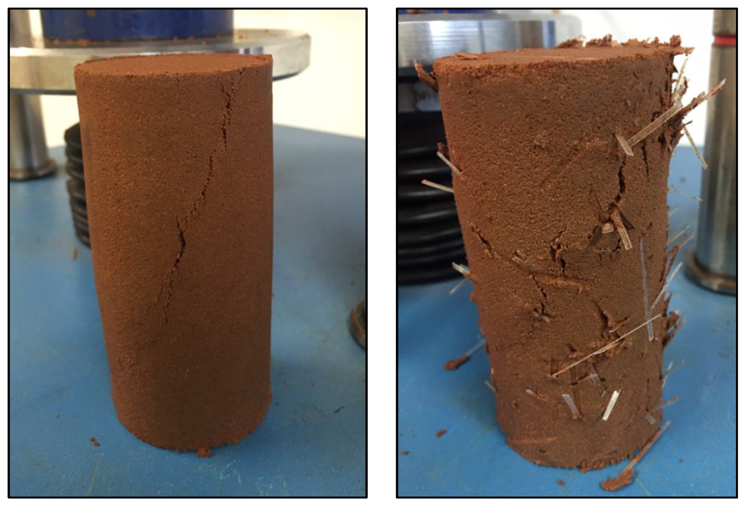 Sustainability 12 09572 g006