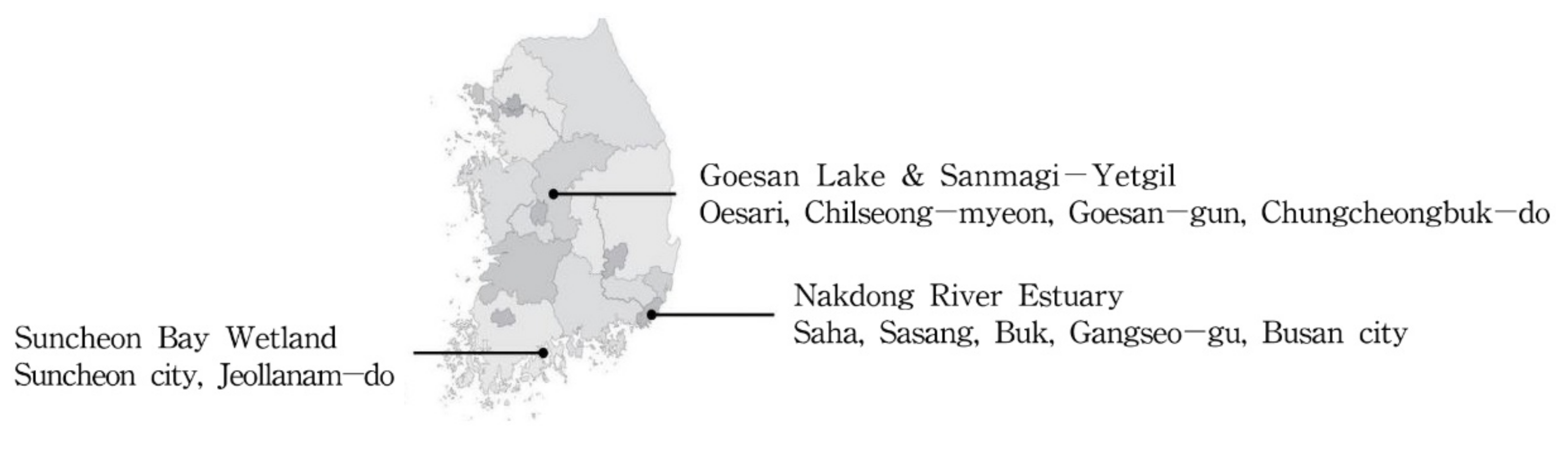 Sustainability 12 09586 g001