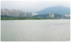 Sustainability 12 09586 i007