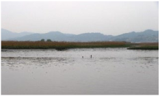 Sustainability 12 09586 i008