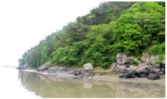 Sustainability 12 09586 i011