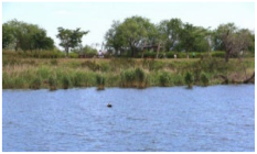 Sustainability 12 09586 i013