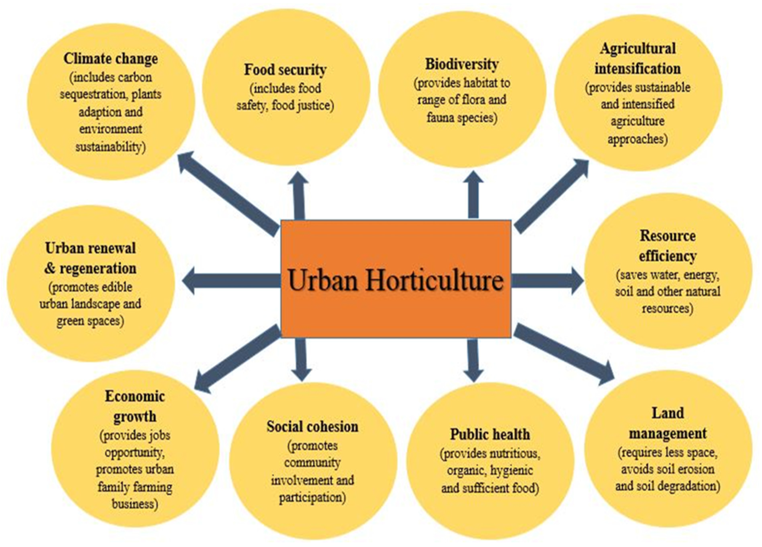 Diferencia entre horticultura y agricultura urbana.
