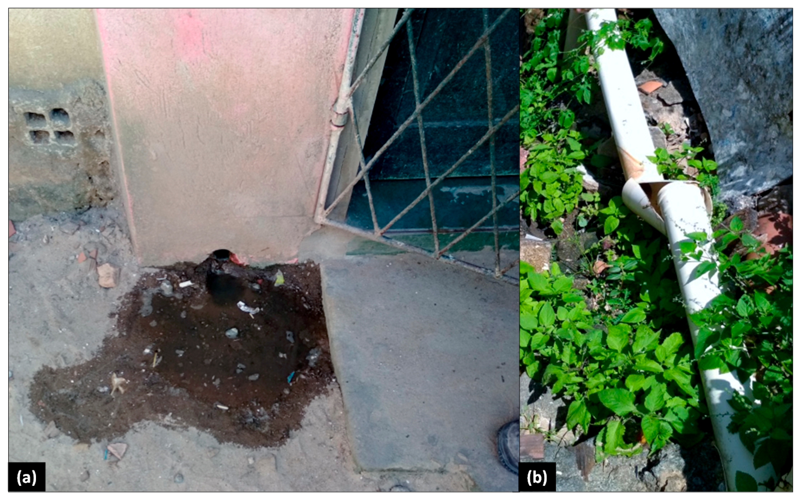 Sustainability 12 09601 g016