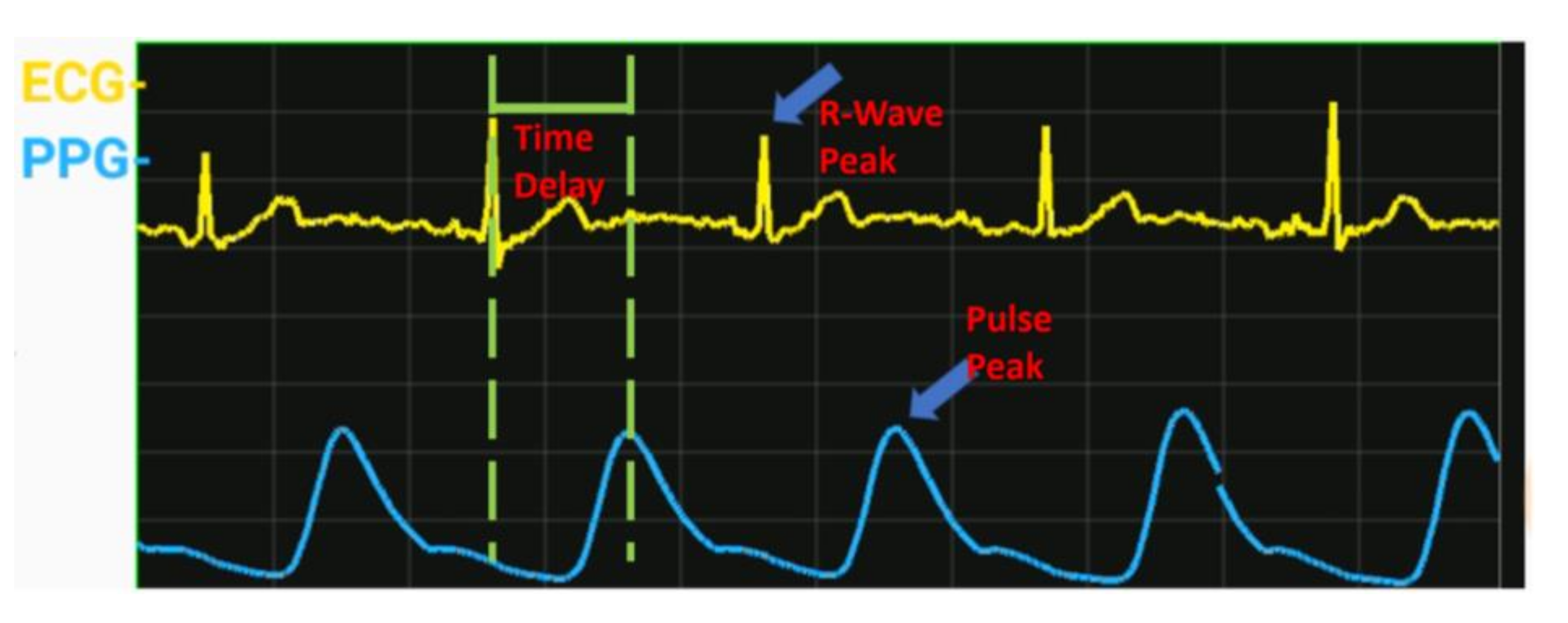Sustainability 12 09646 g003