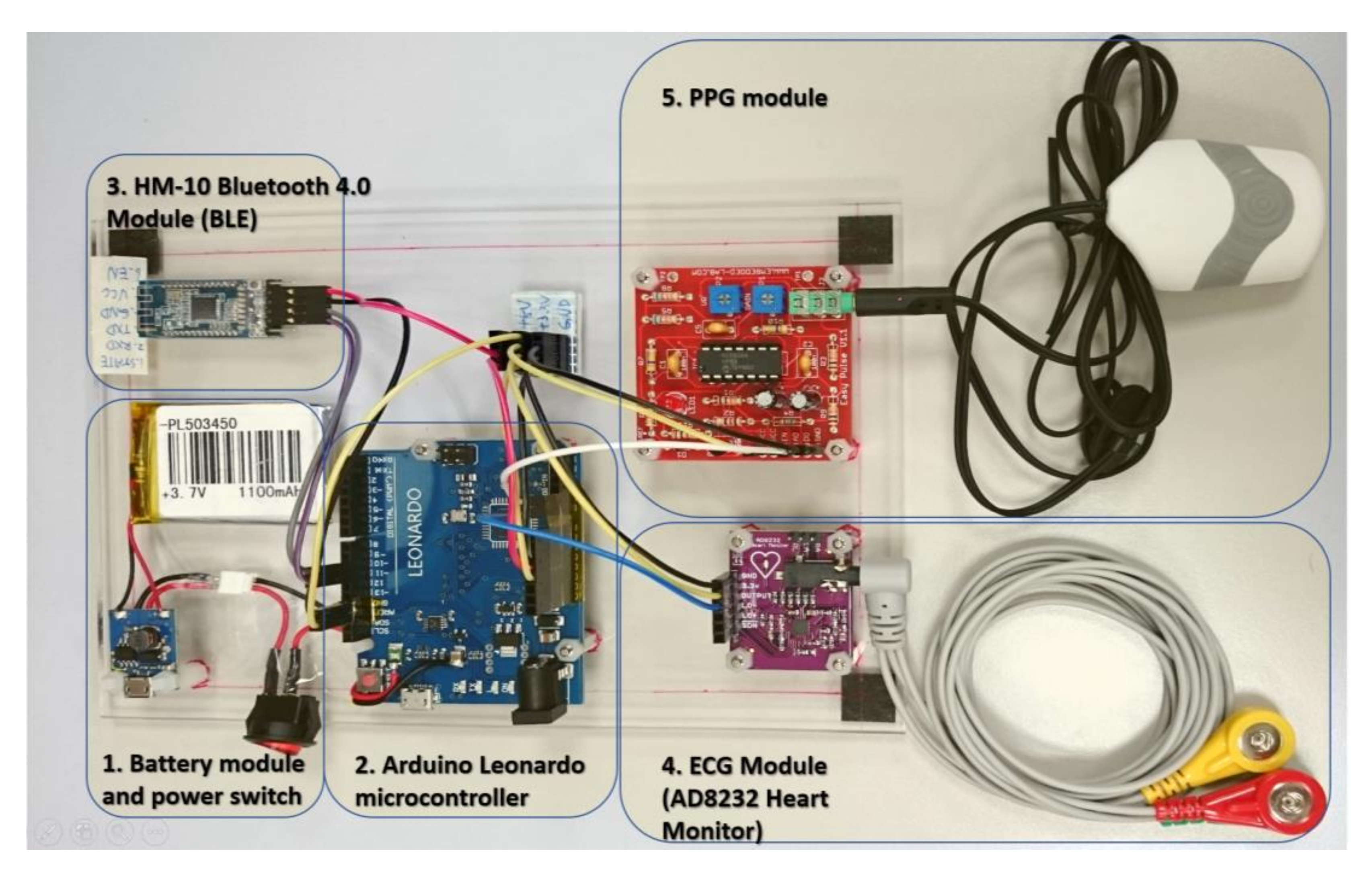 Sustainability 12 09646 g005