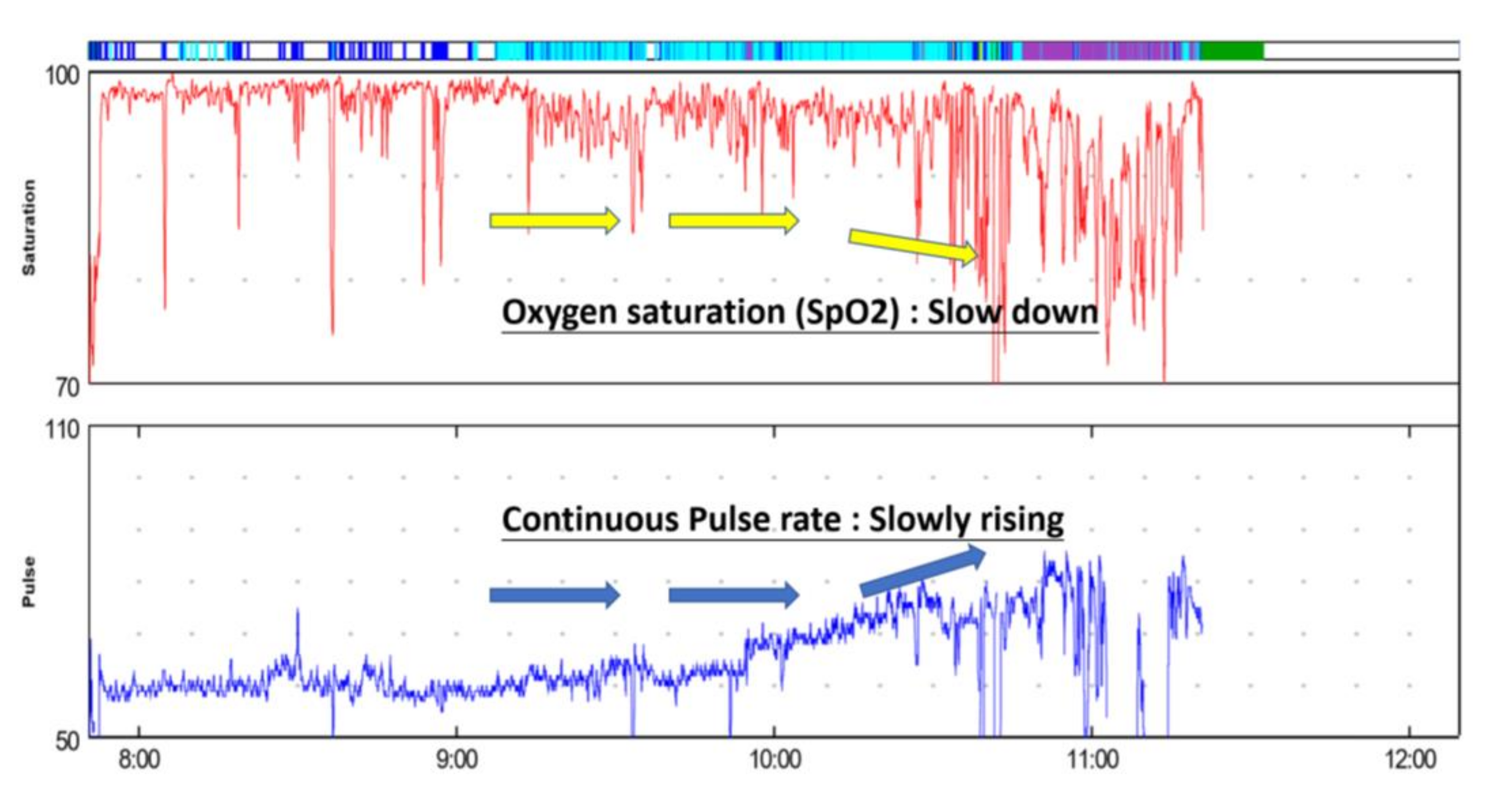 Sustainability 12 09646 g008