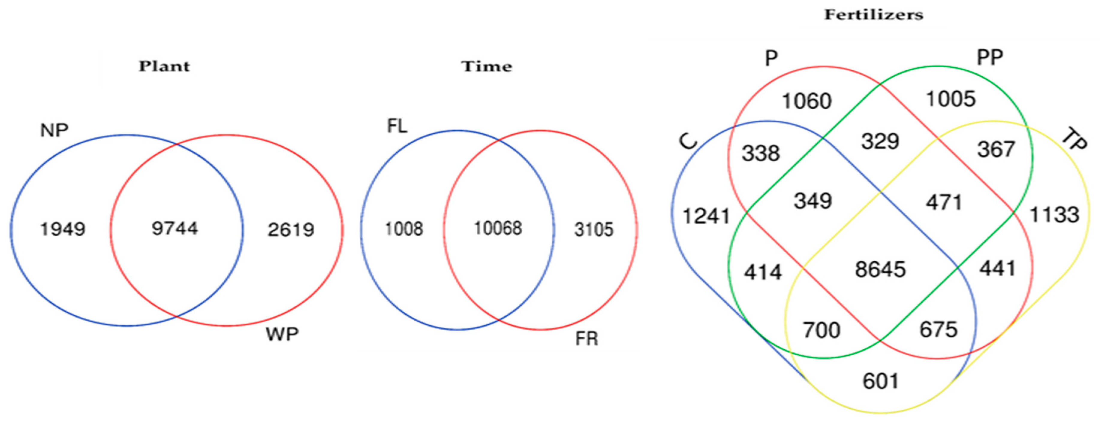 Sustainability 12 09706 g001 Sustainability 12 09706 g001