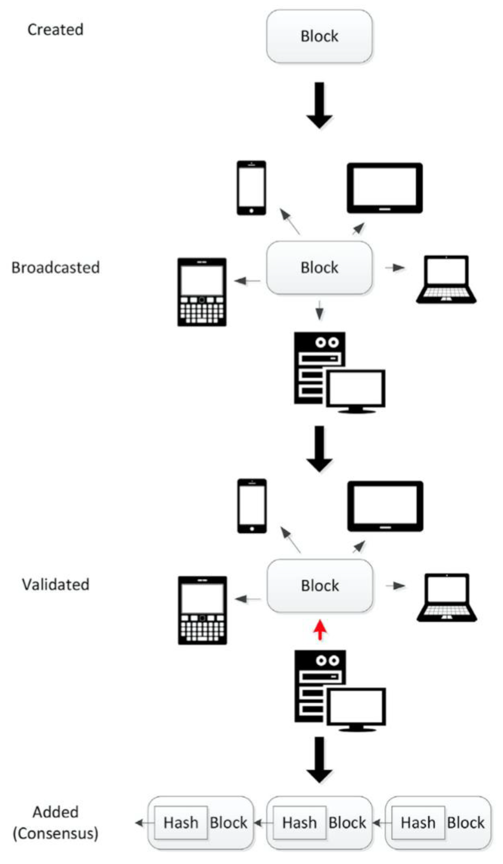 Sustainability 12 09715 g001