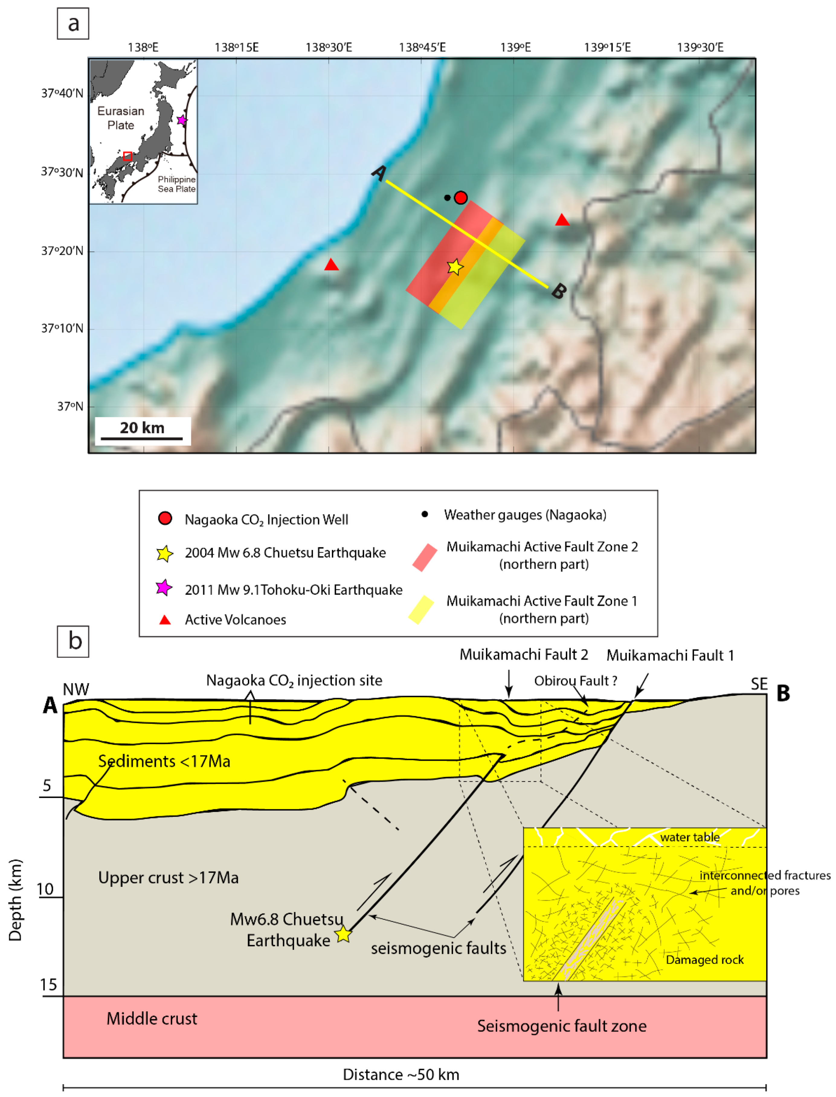 Sustainability 12 09723 g001 Sustainability 12 09723 g001