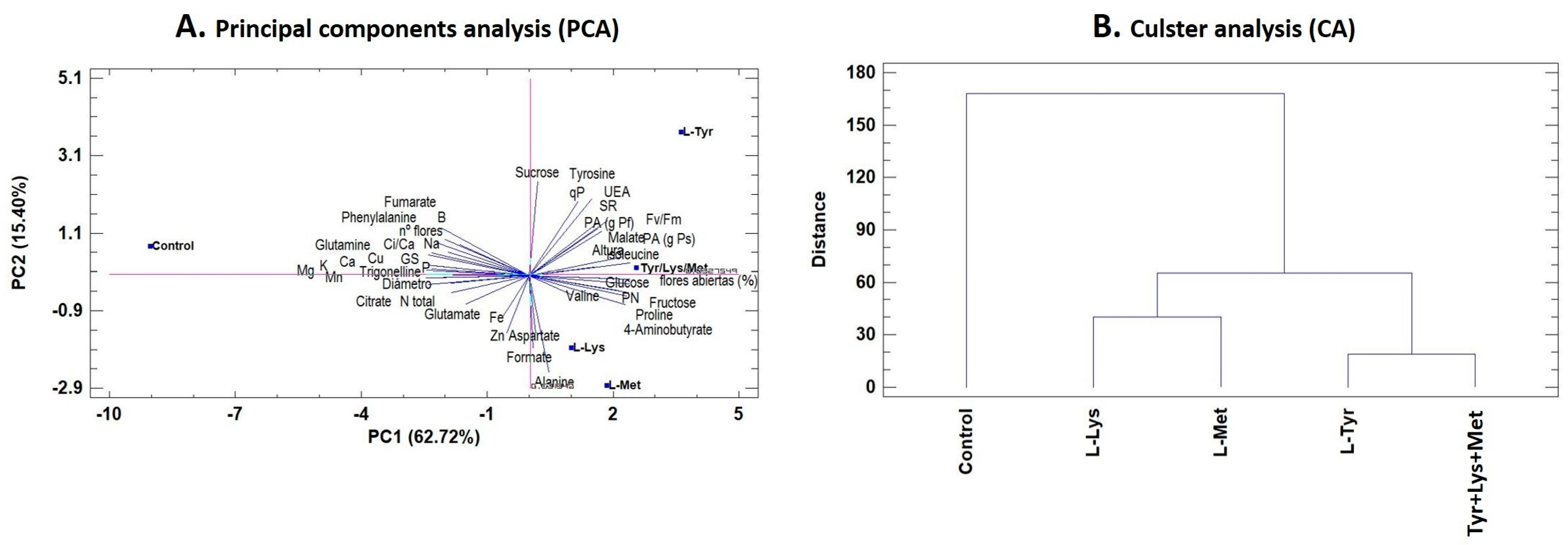 Sustainability 12 09729 g004 Sustainability 12 09729 g004