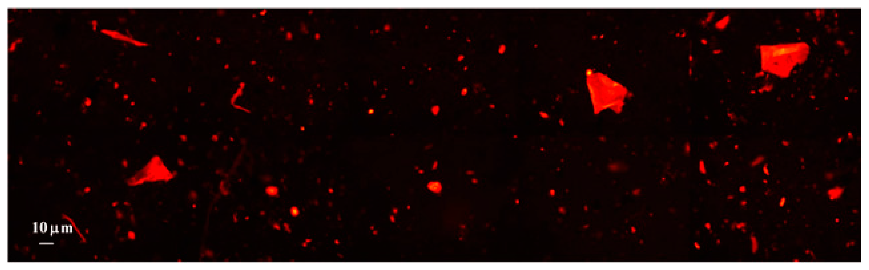 Sustainability 12 09758 g011