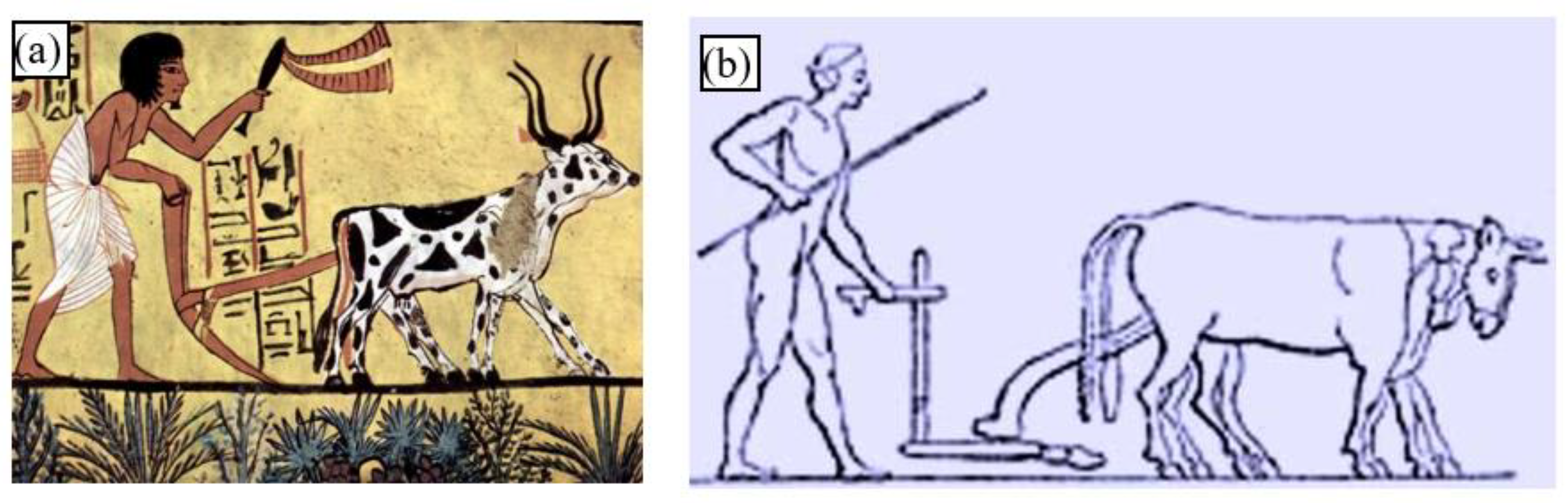 Sustainability 12 09760 g011