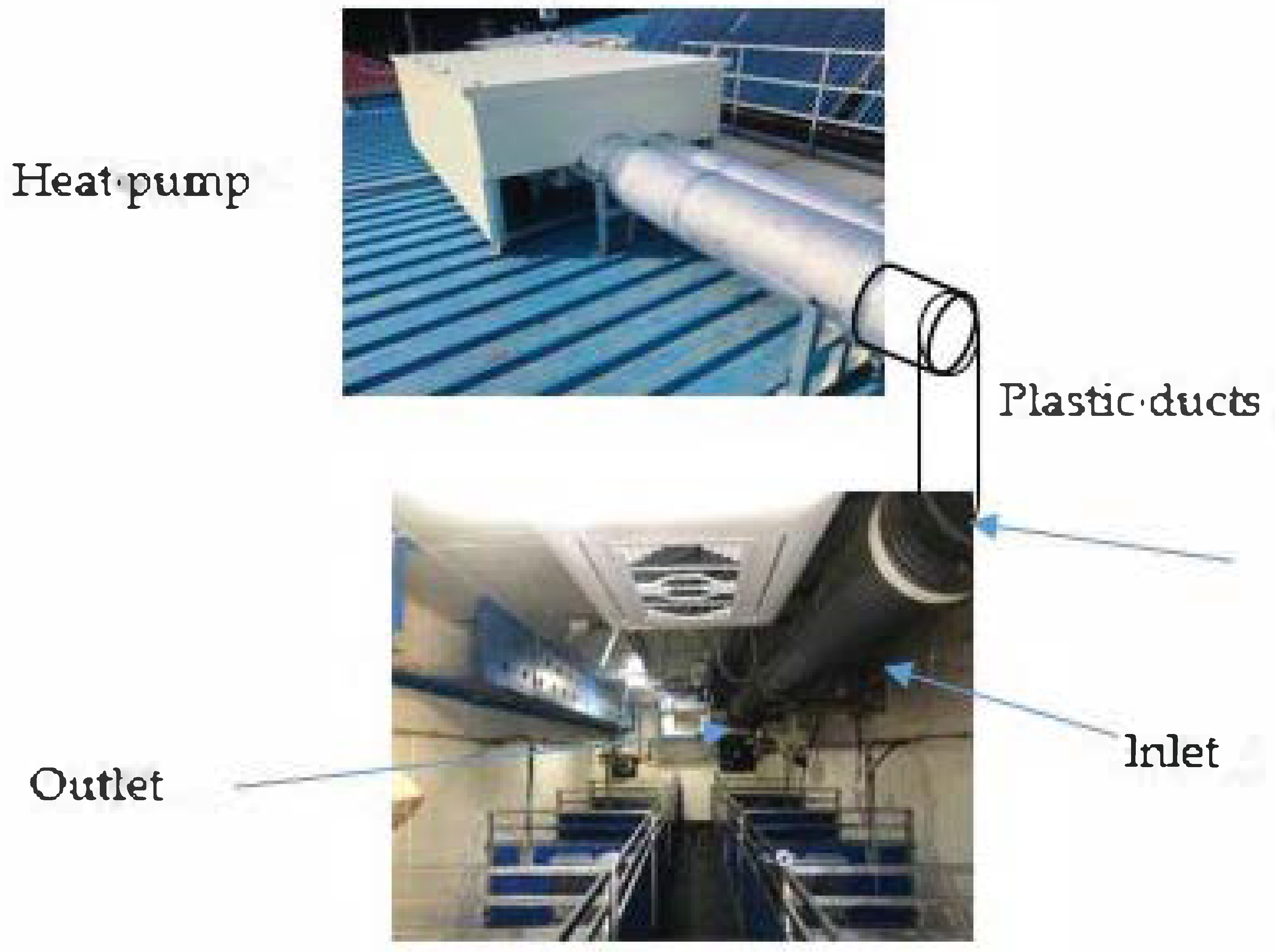 Sustainability 12 09772 g001 Sustainability 12 09772 g001