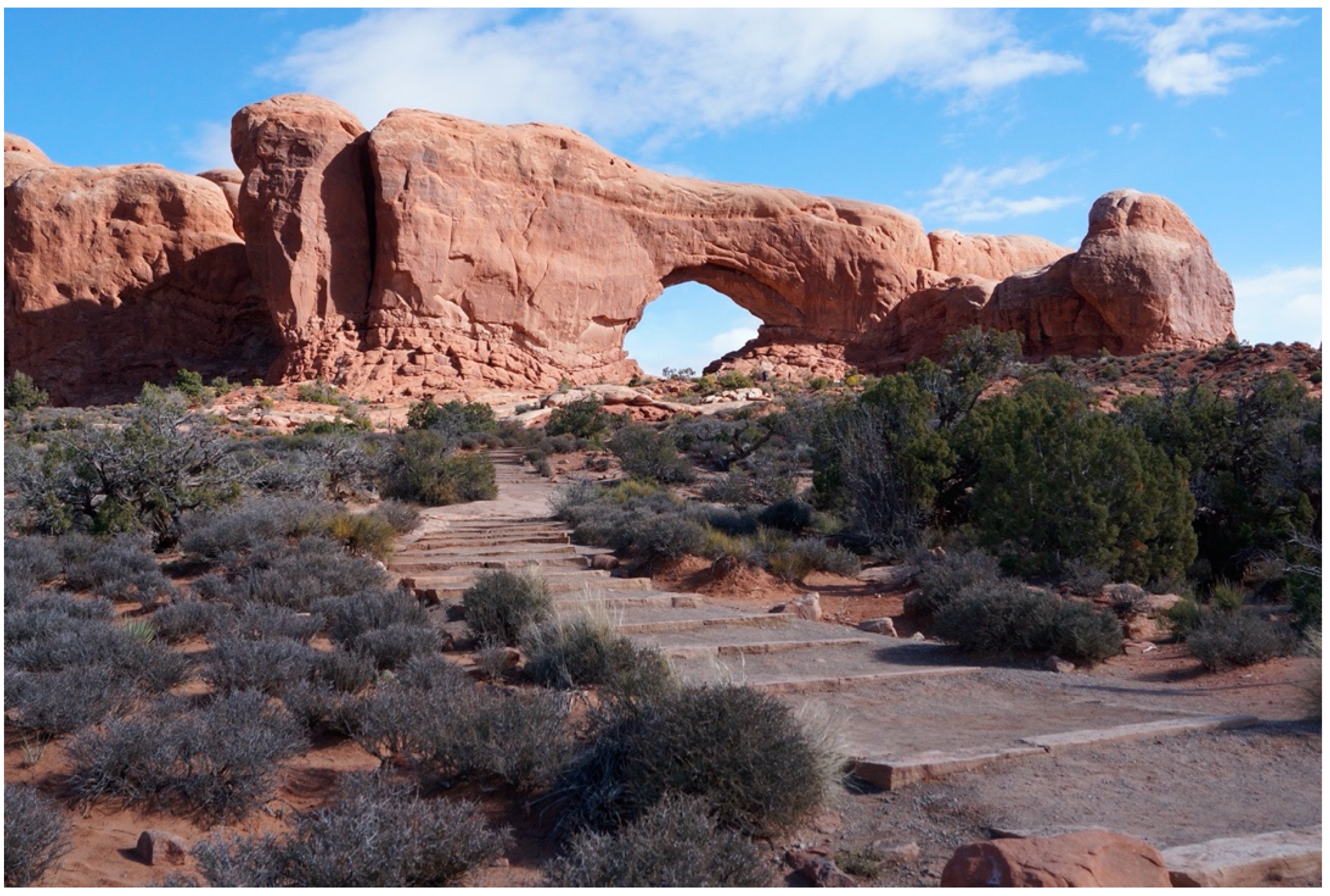 Sustainability 12 09846 g003