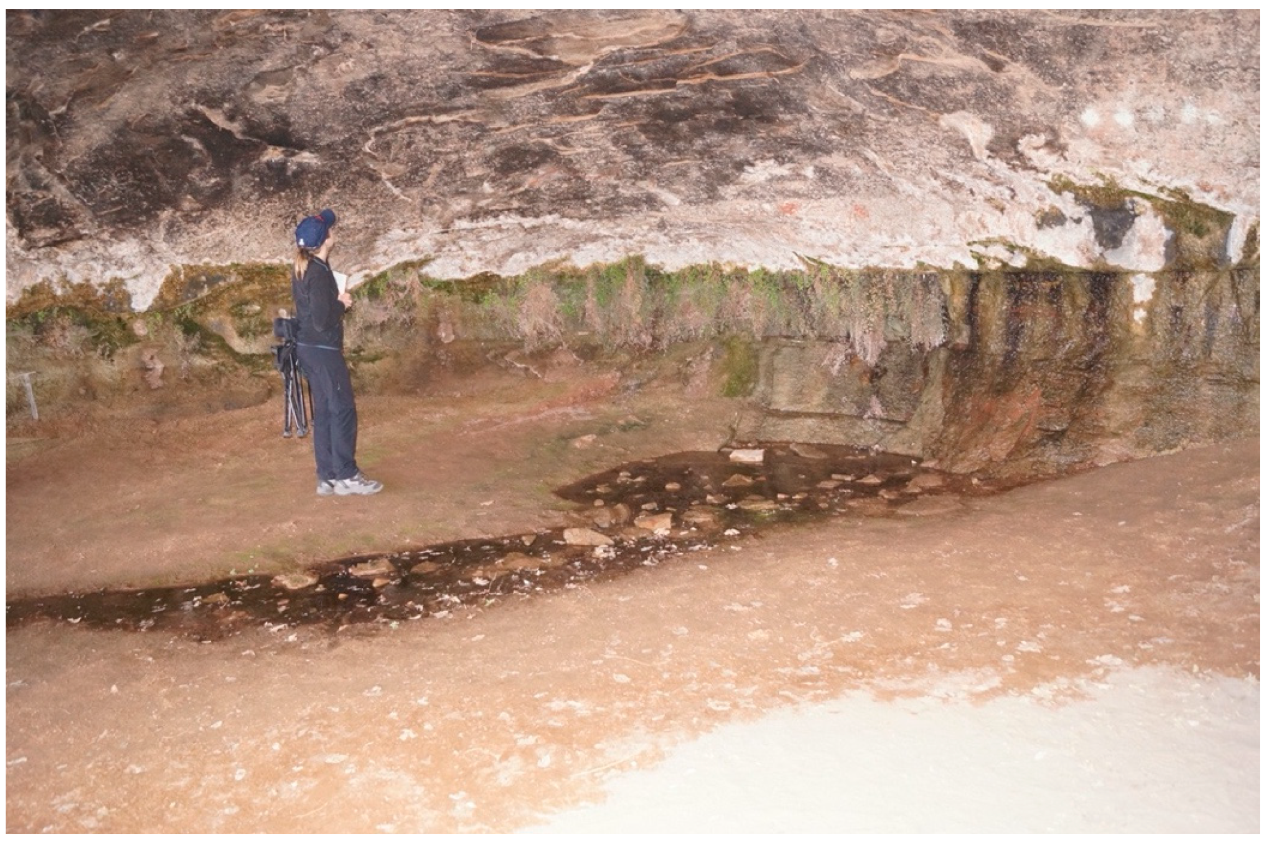 Sustainability 12 09846 g005