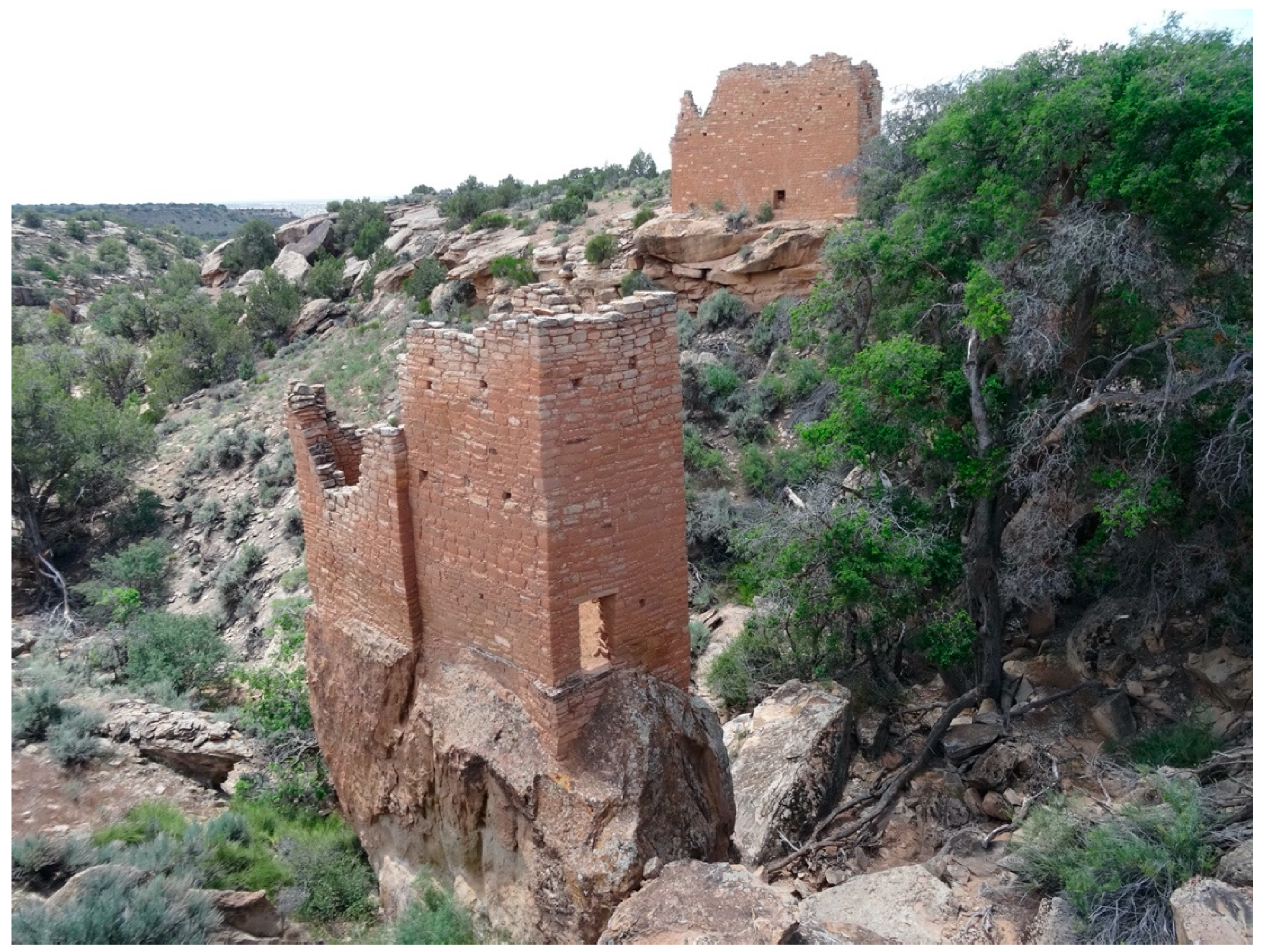 Sustainability 12 09846 g011