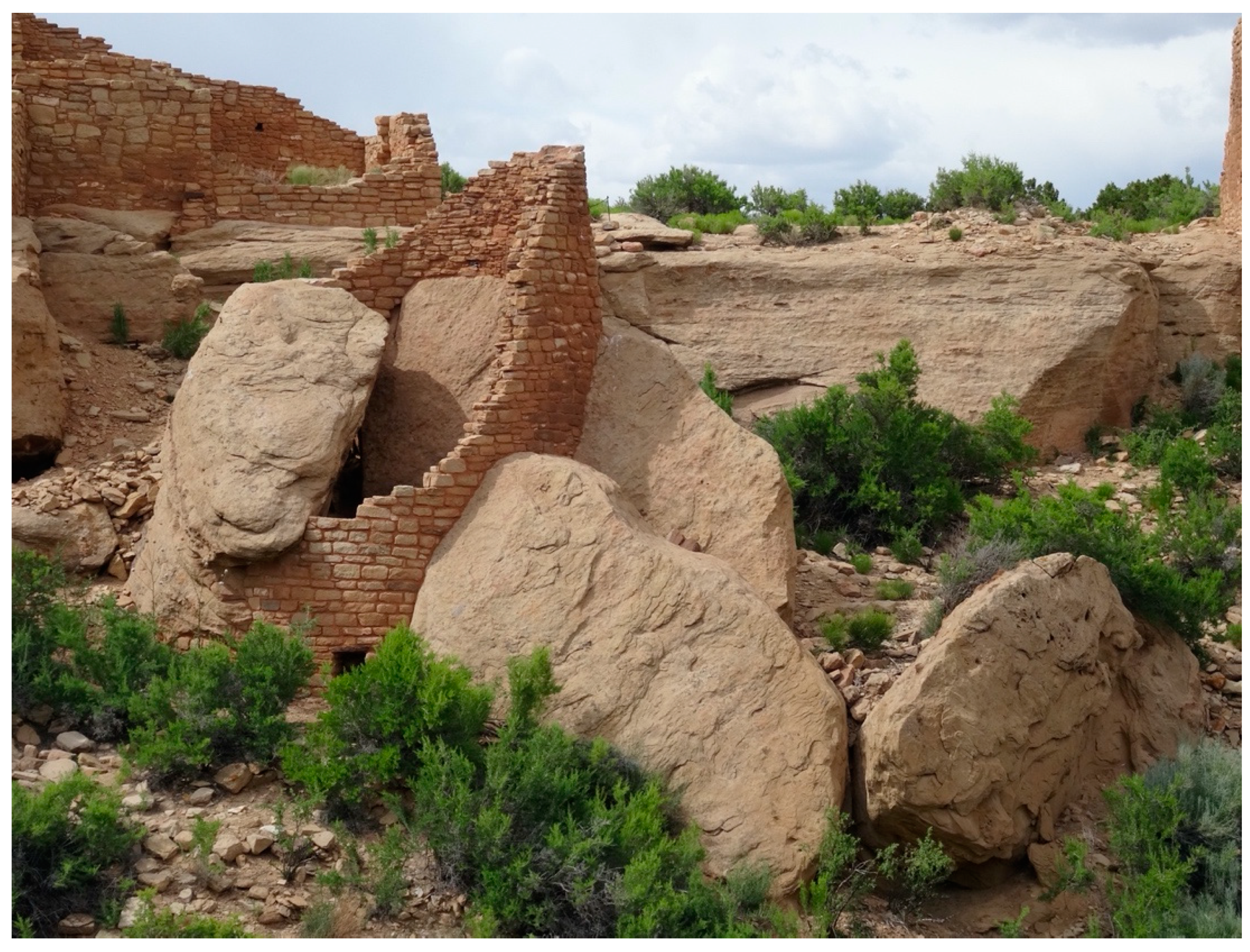 Sustainability 12 09846 g012