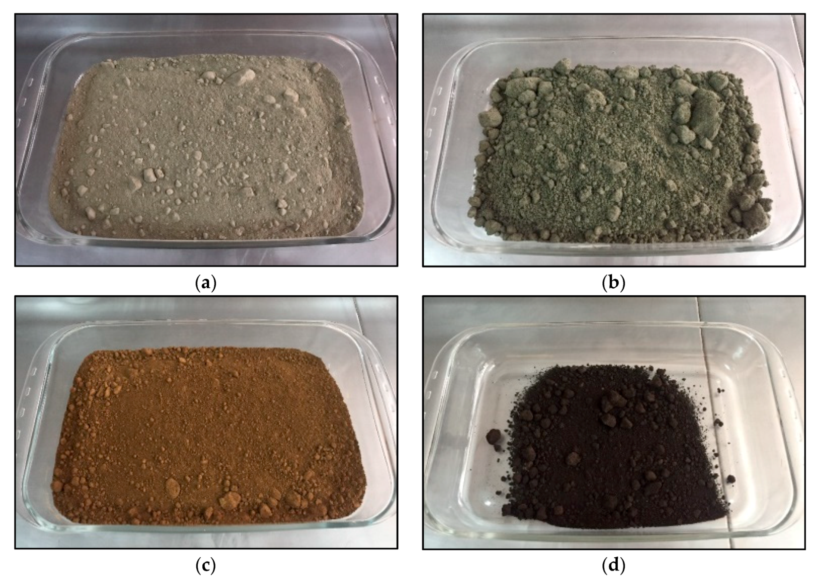 Sustainability 12 09849 g001