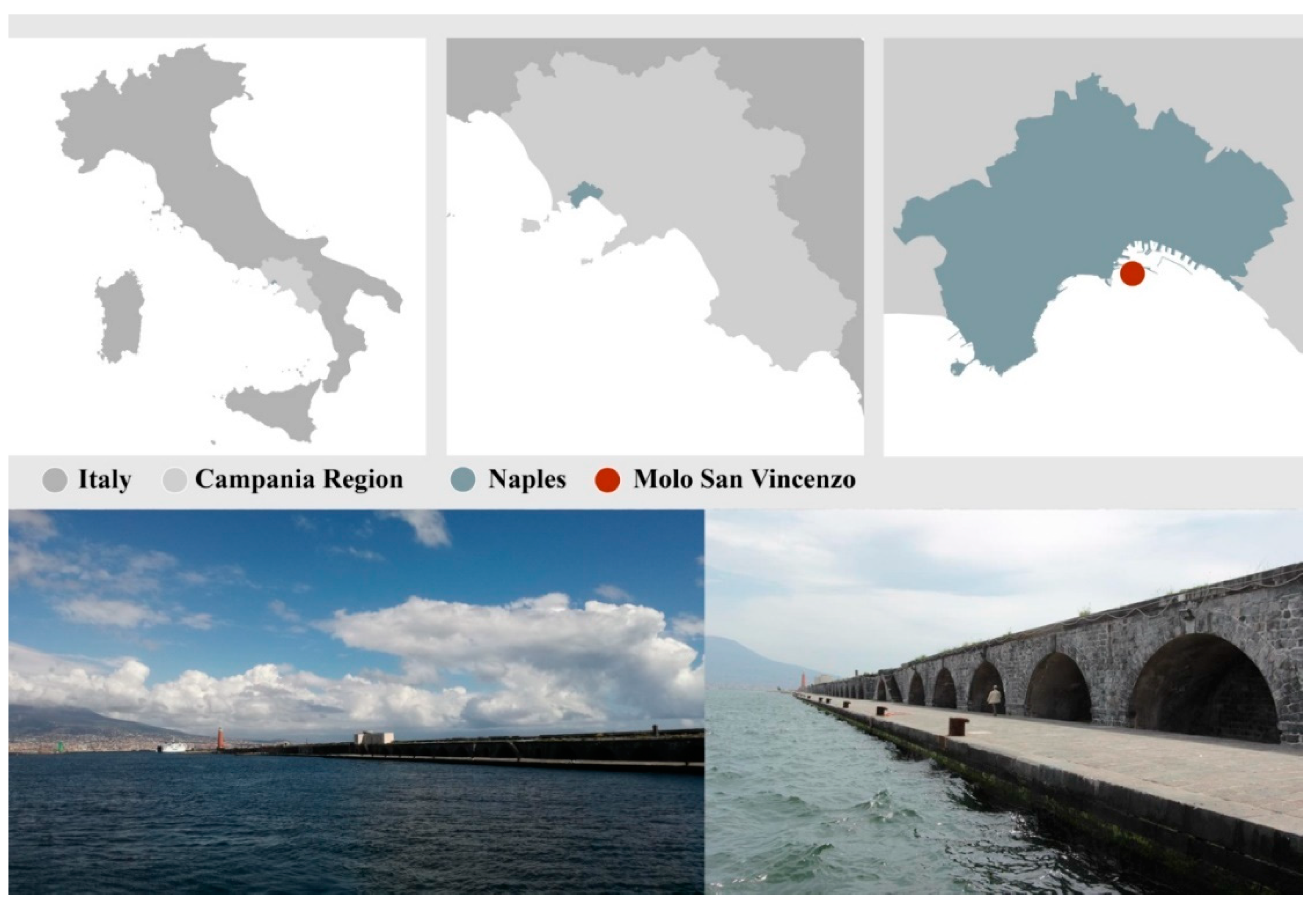 Sustainability 12 09862 g005 Sustainability 12 09862 g005