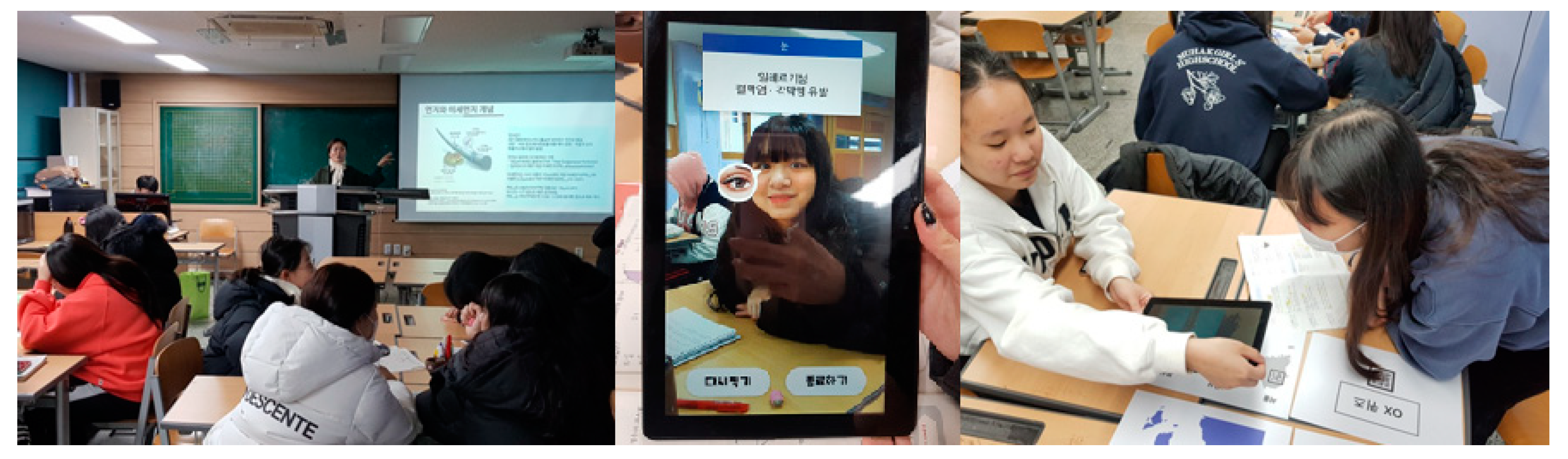 Sustainability 12 09874 g002 Sustainability 12 09874 g002