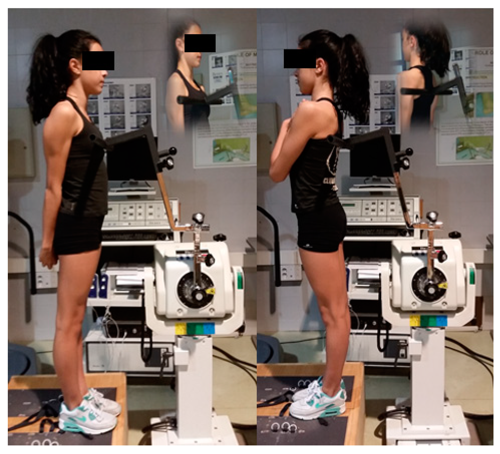 Sustainability 12 09880 g001 Sustainability 12 09880 g001