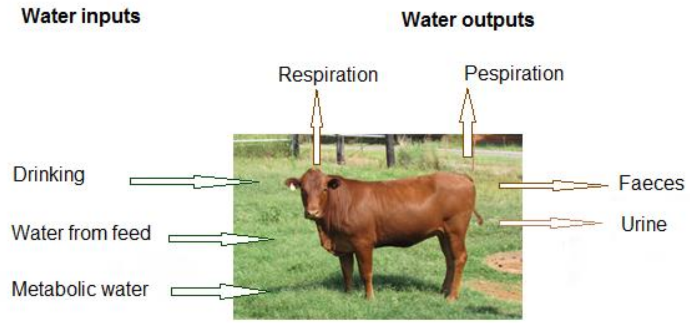 Sustainability 12 09921 g003 Sustainability 12 09921 g003