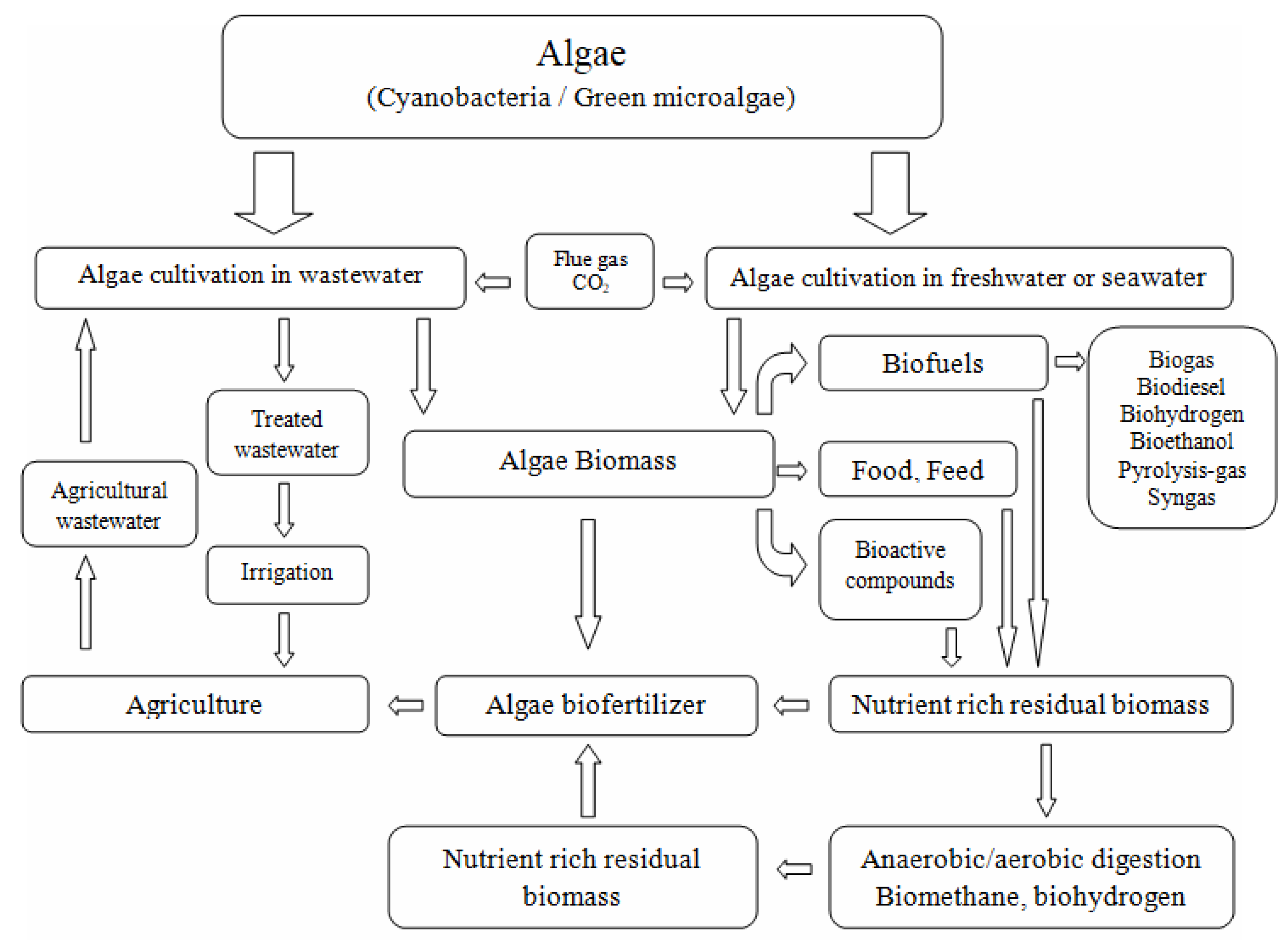 Sustainability 12 09980 g003
