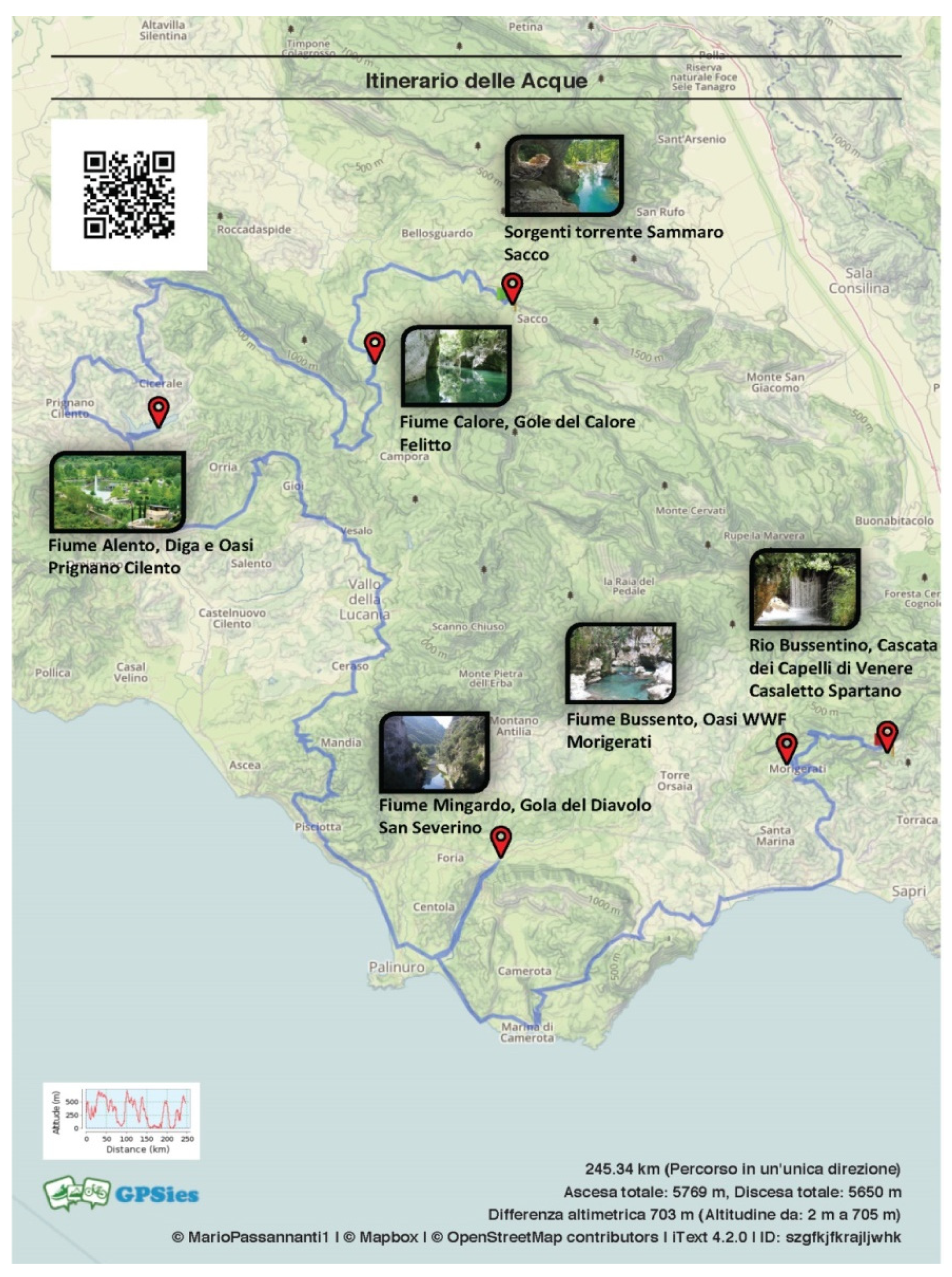 Sustainability 12 10012 g005