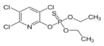 Sustainability 12 10035 i005 Sustainability 12 10035 i005