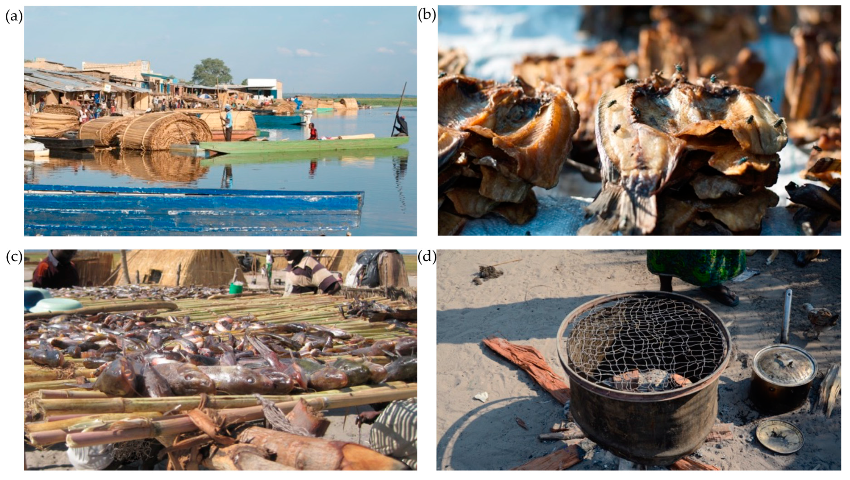 Sustainability 12 10091 g002 Sustainability 12 10091 g002