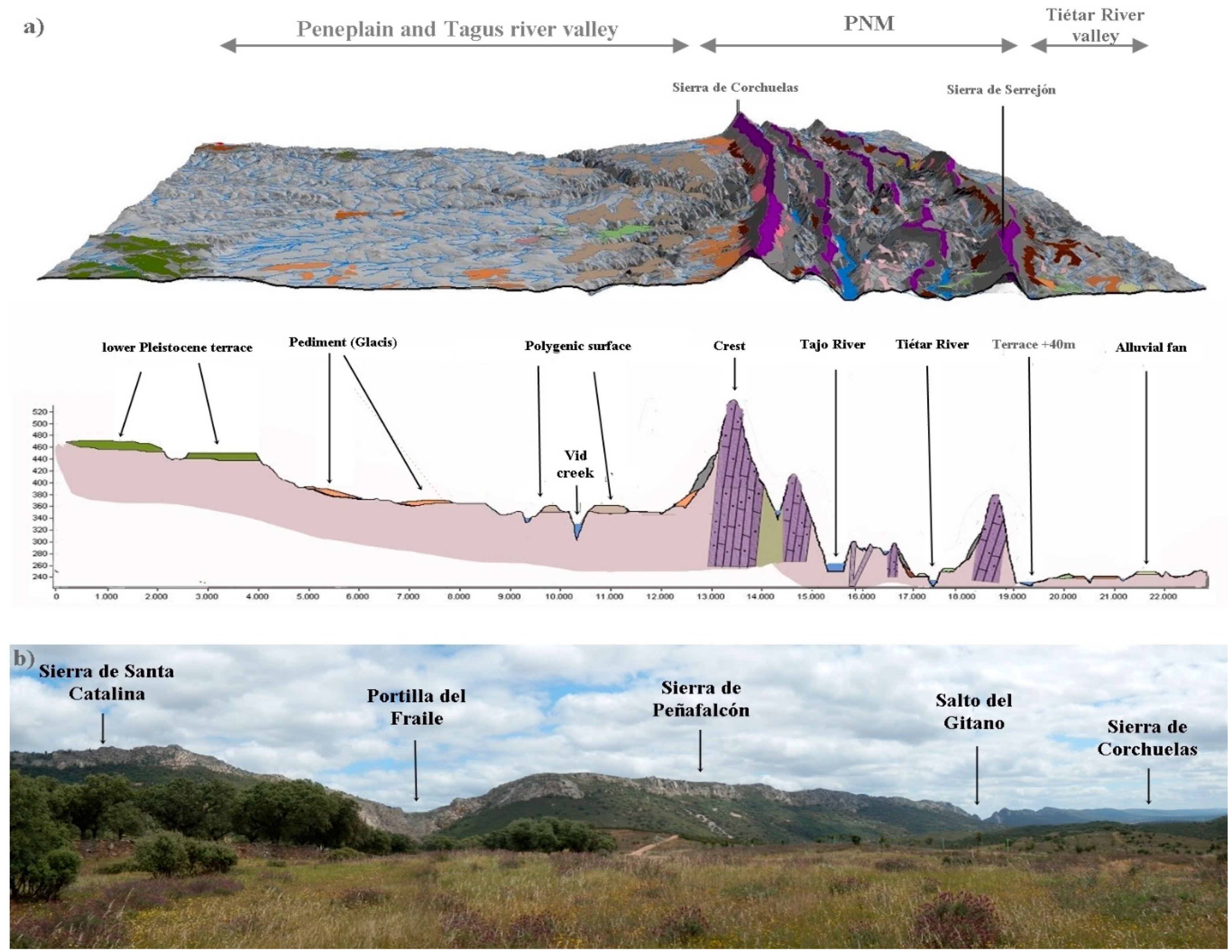 Sustainability 12 10099 g005