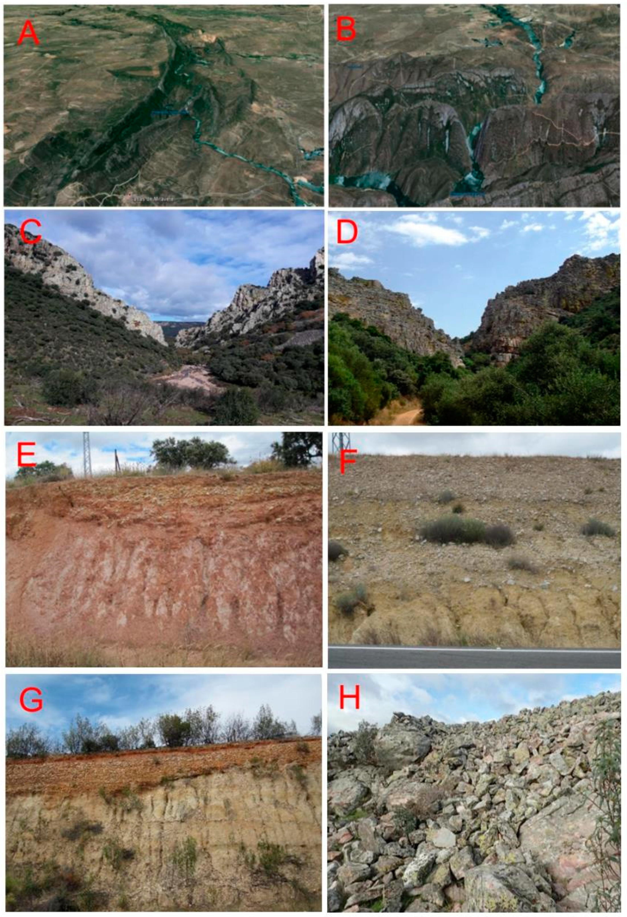 Sustainability 12 10099 g007