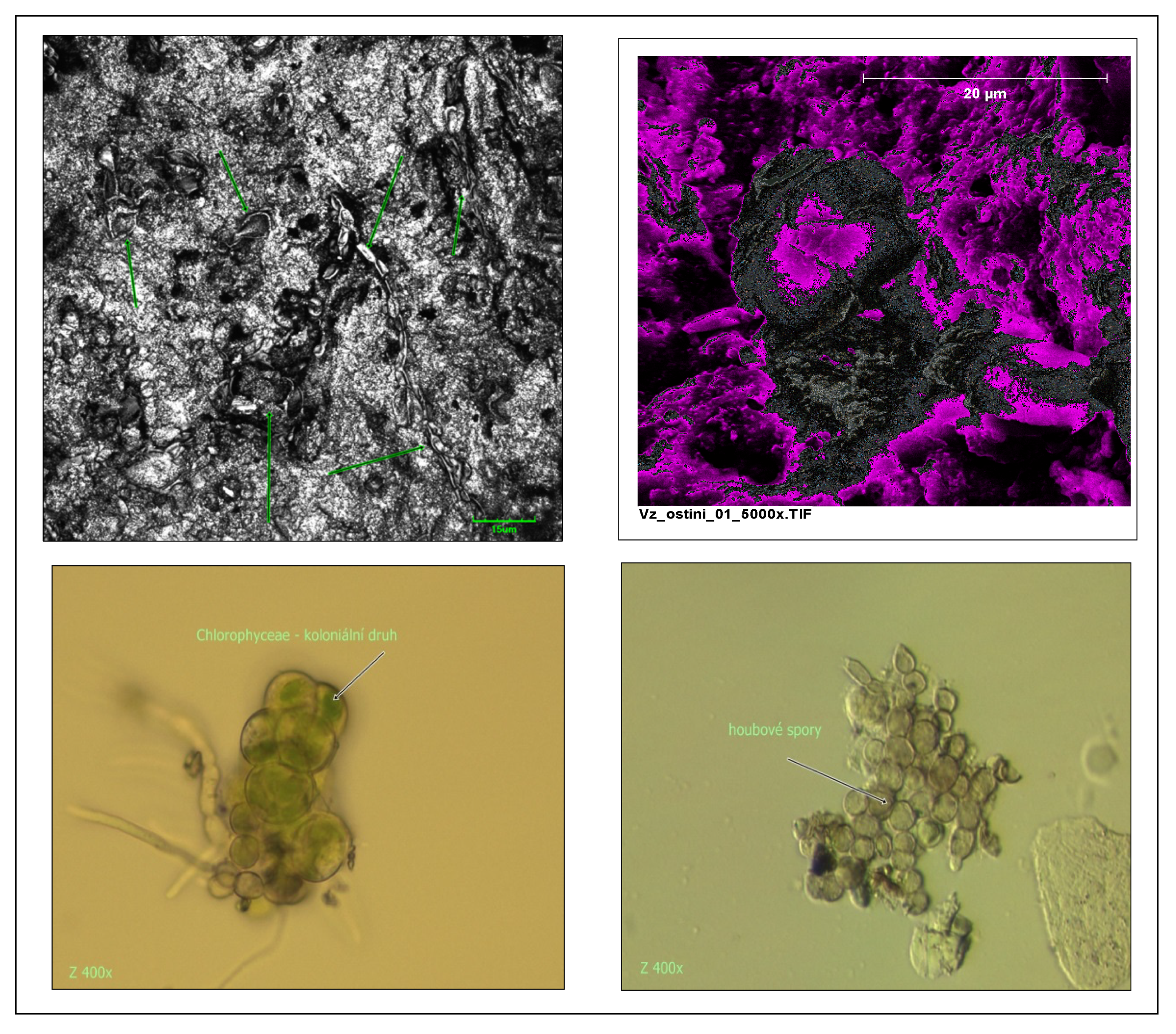 Sustainability 12 10119 g003