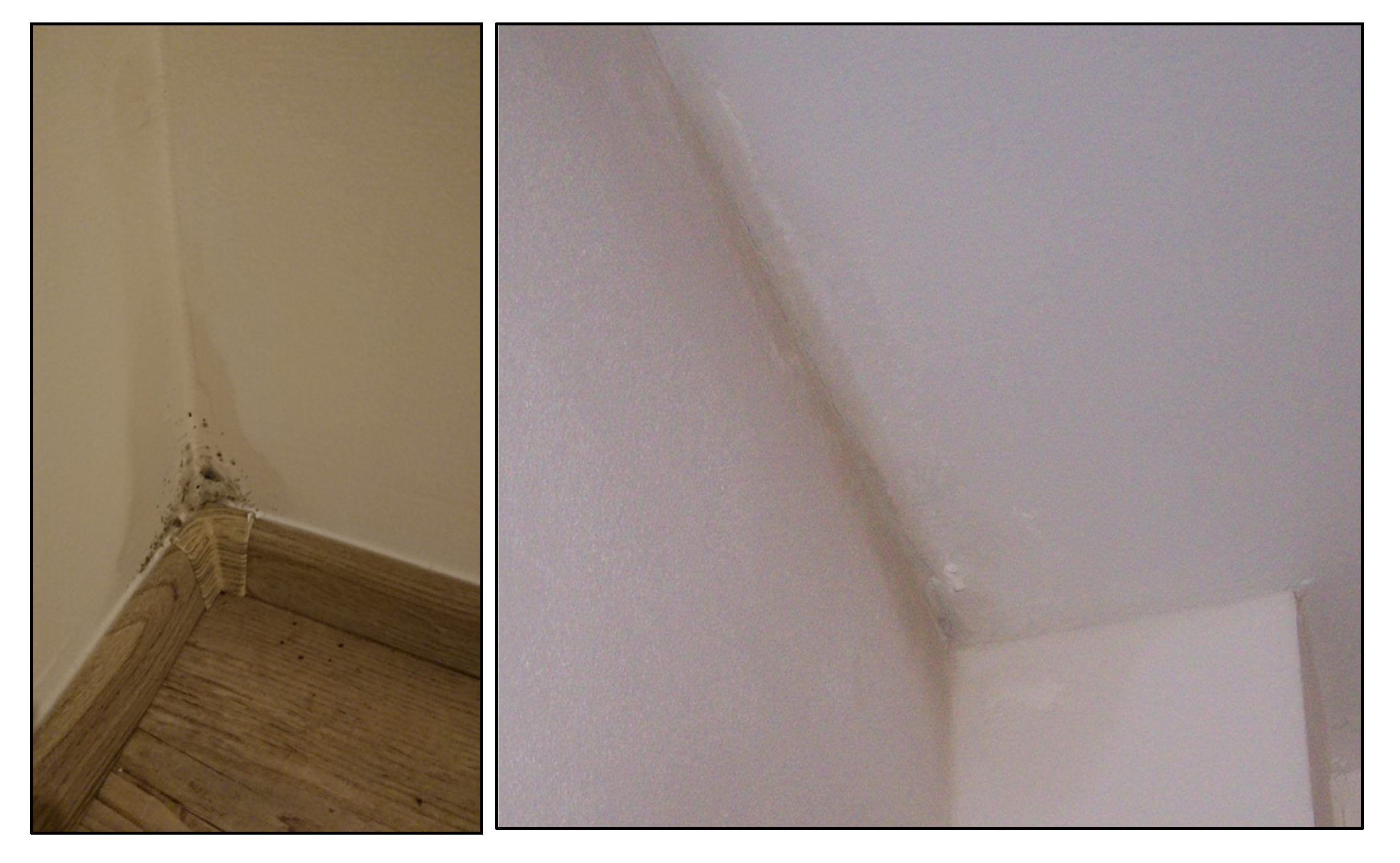 Sustainability 12 10119 g005