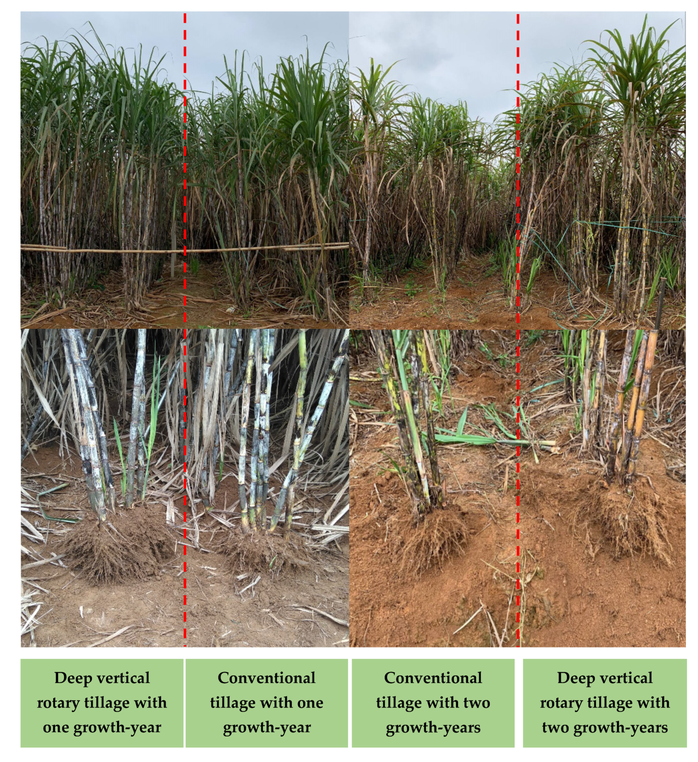 Sustainability 12 10199 g010 Sustainability 12 10199 g010