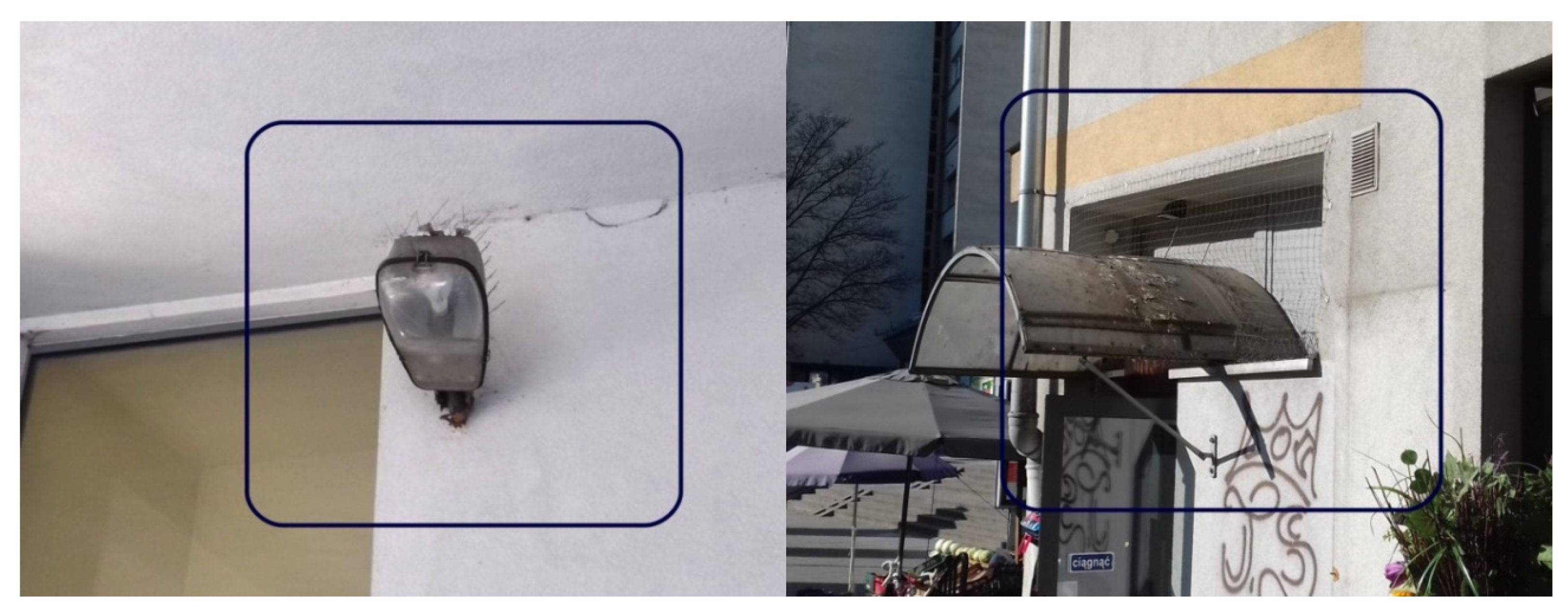 Sustainability 12 10231 g001