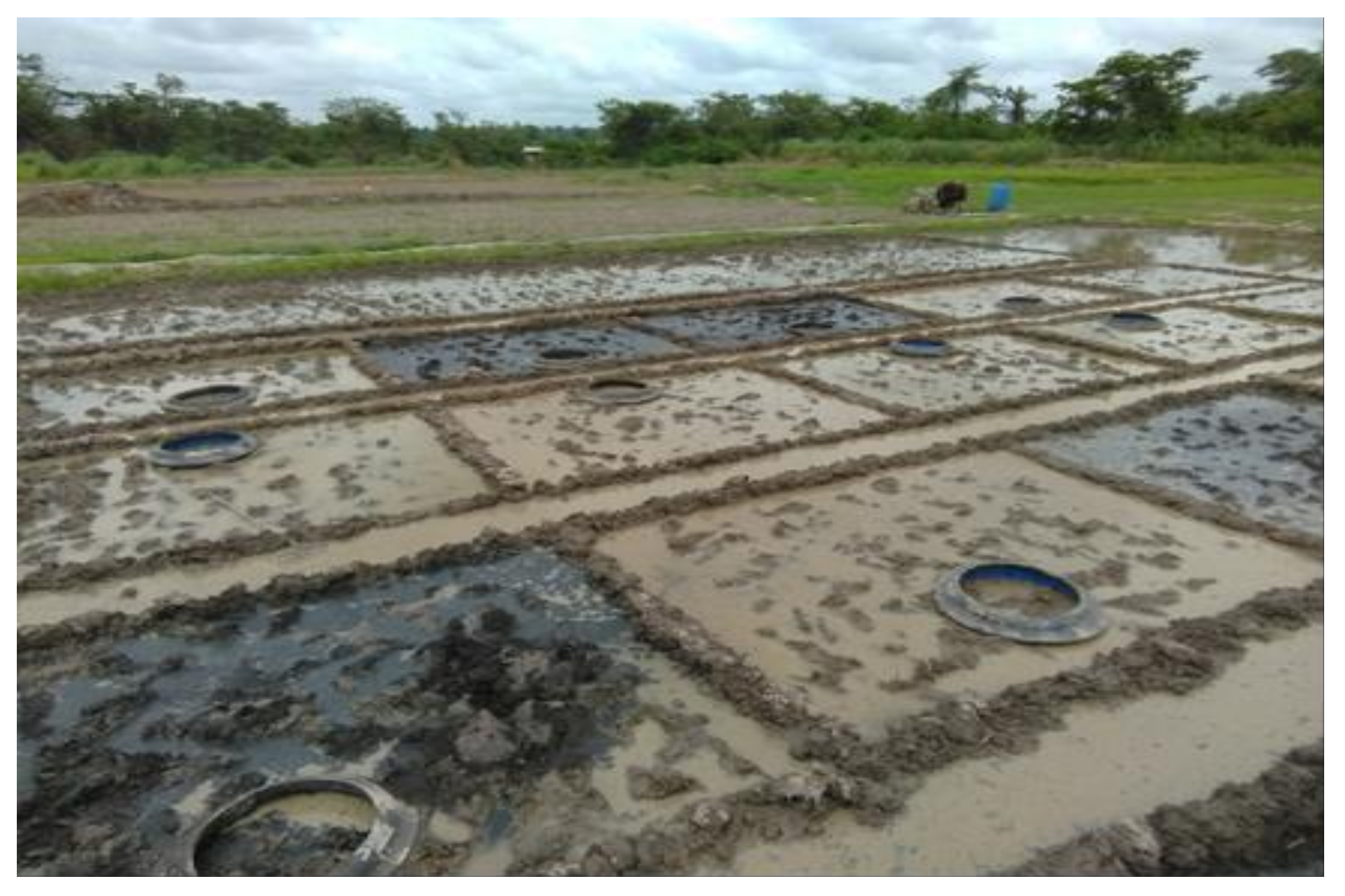 Sustainability 12 10239 g002