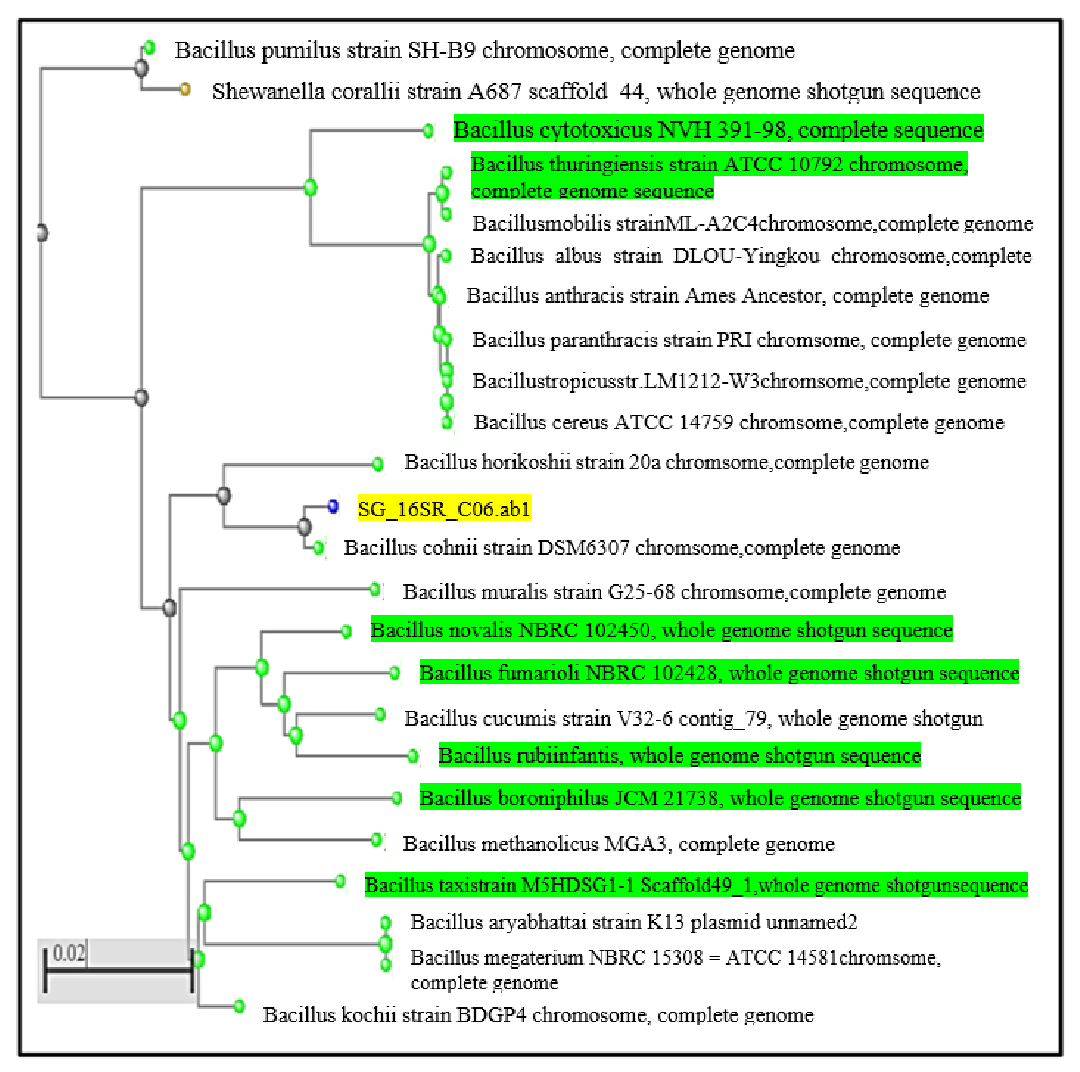 Sustainability 12 10346 g001