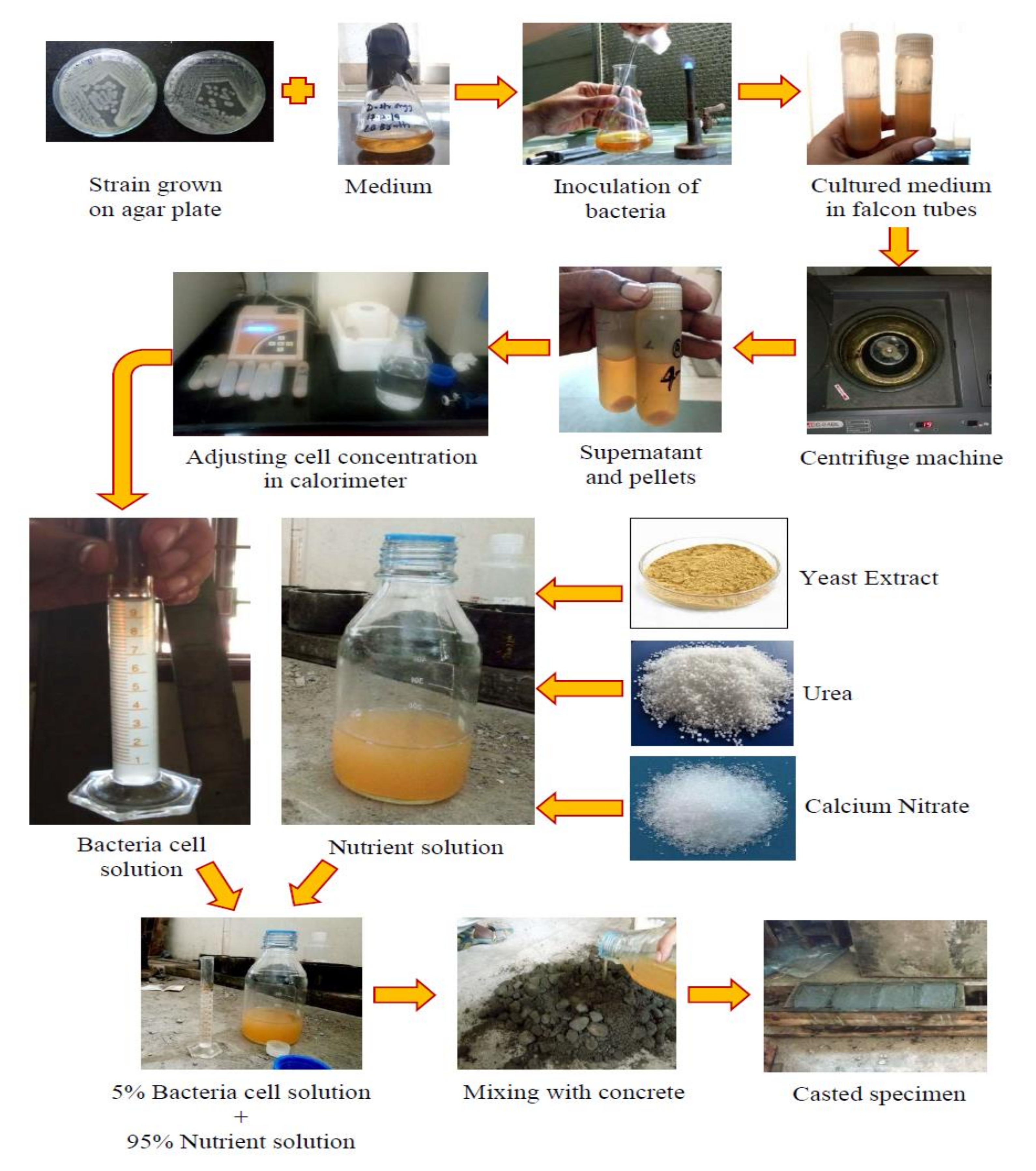 Sustainability 12 10346 g004