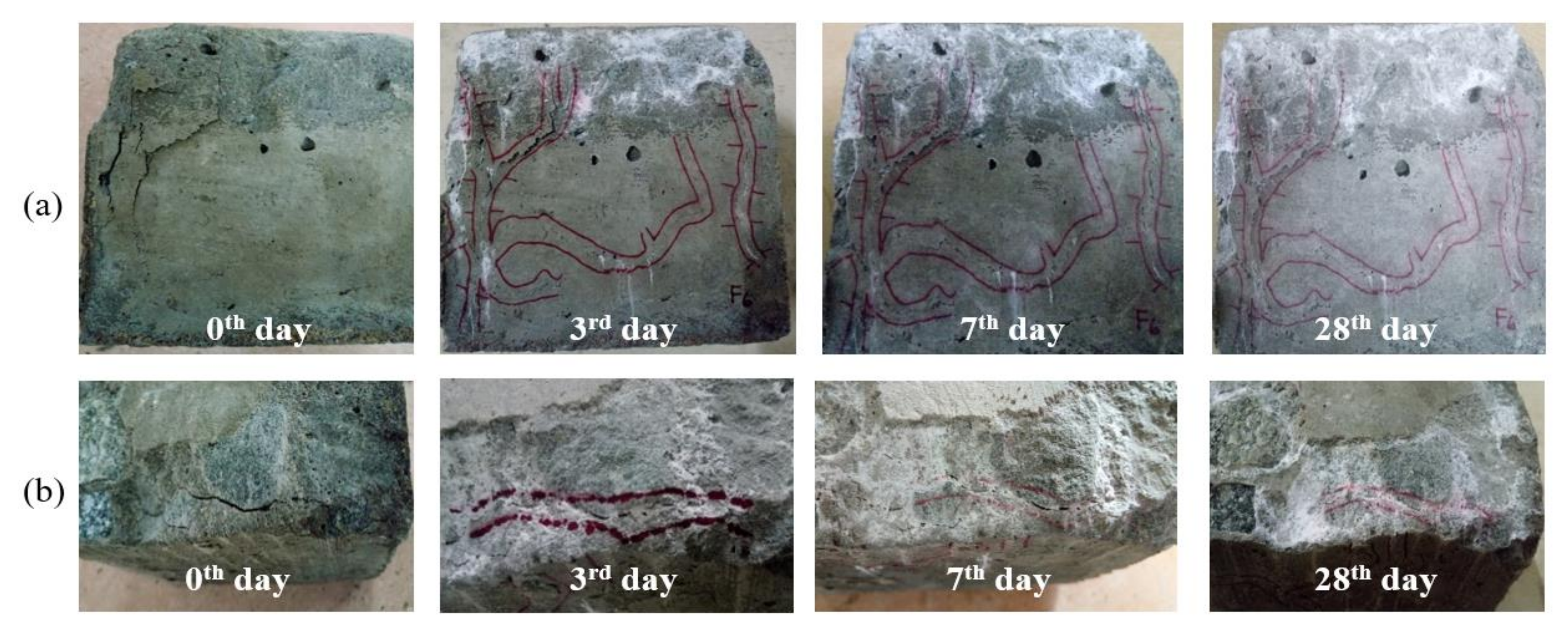 Sustainability 12 10346 g007