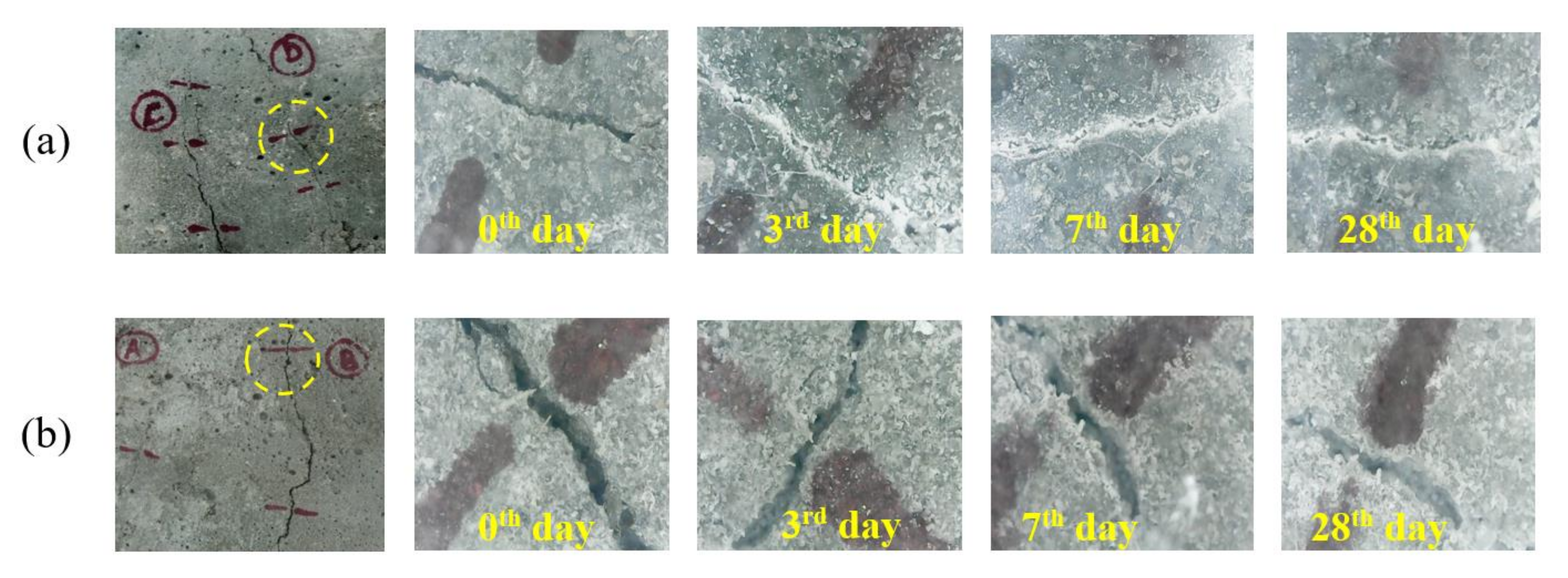 Sustainability 12 10346 g008