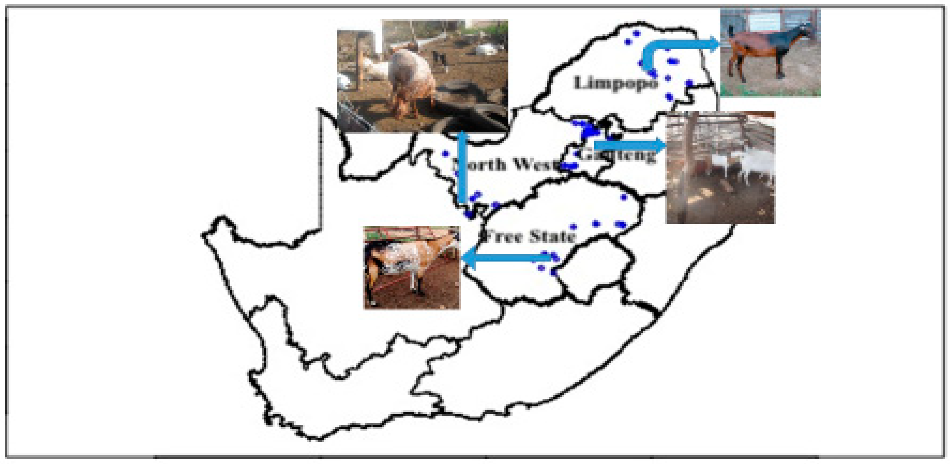 Sustainability 12 10361 g001 Sustainability 12 10361 g001