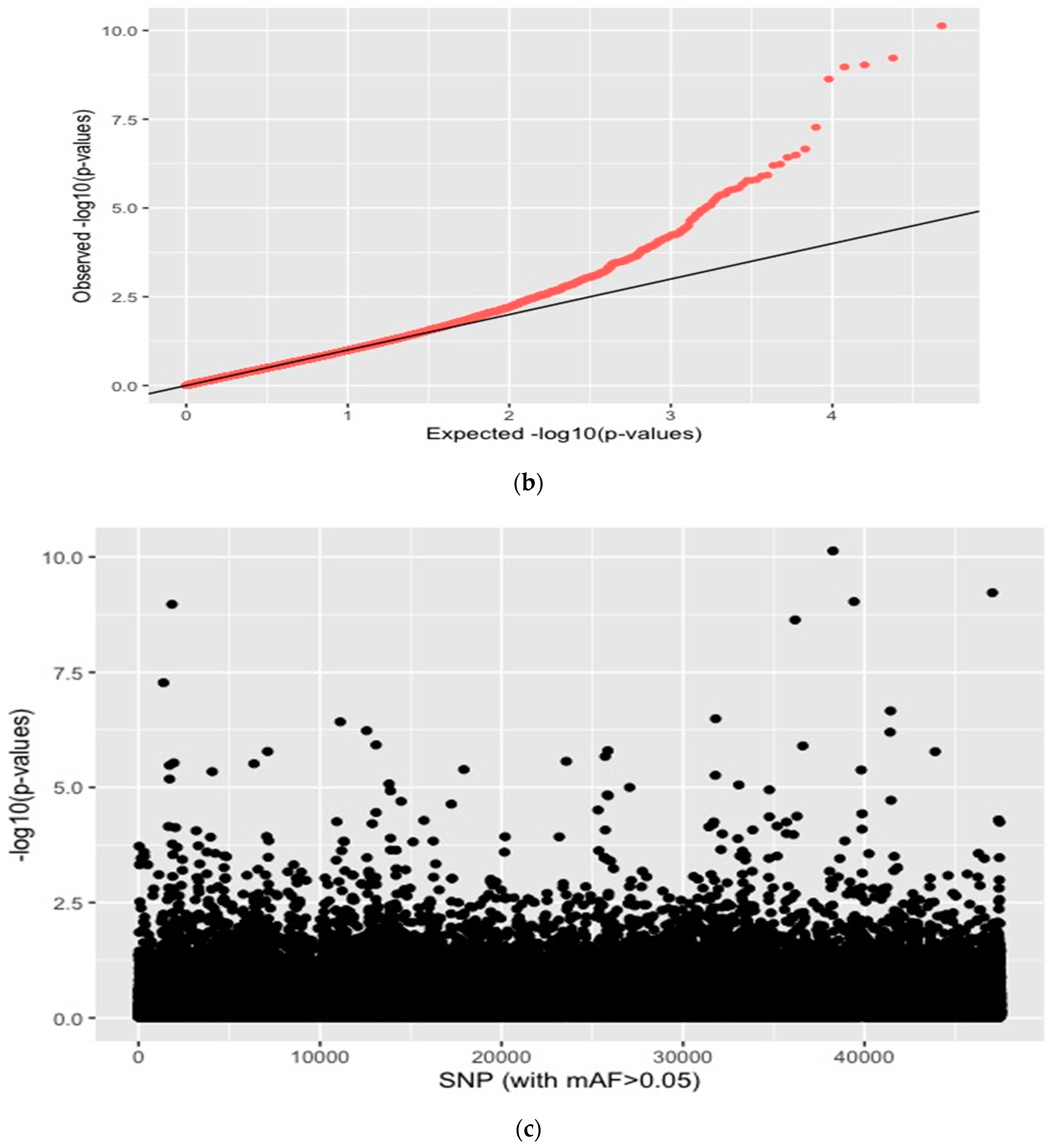 Sustainability 12 10361 g008b Sustainability 12 10361 g008b