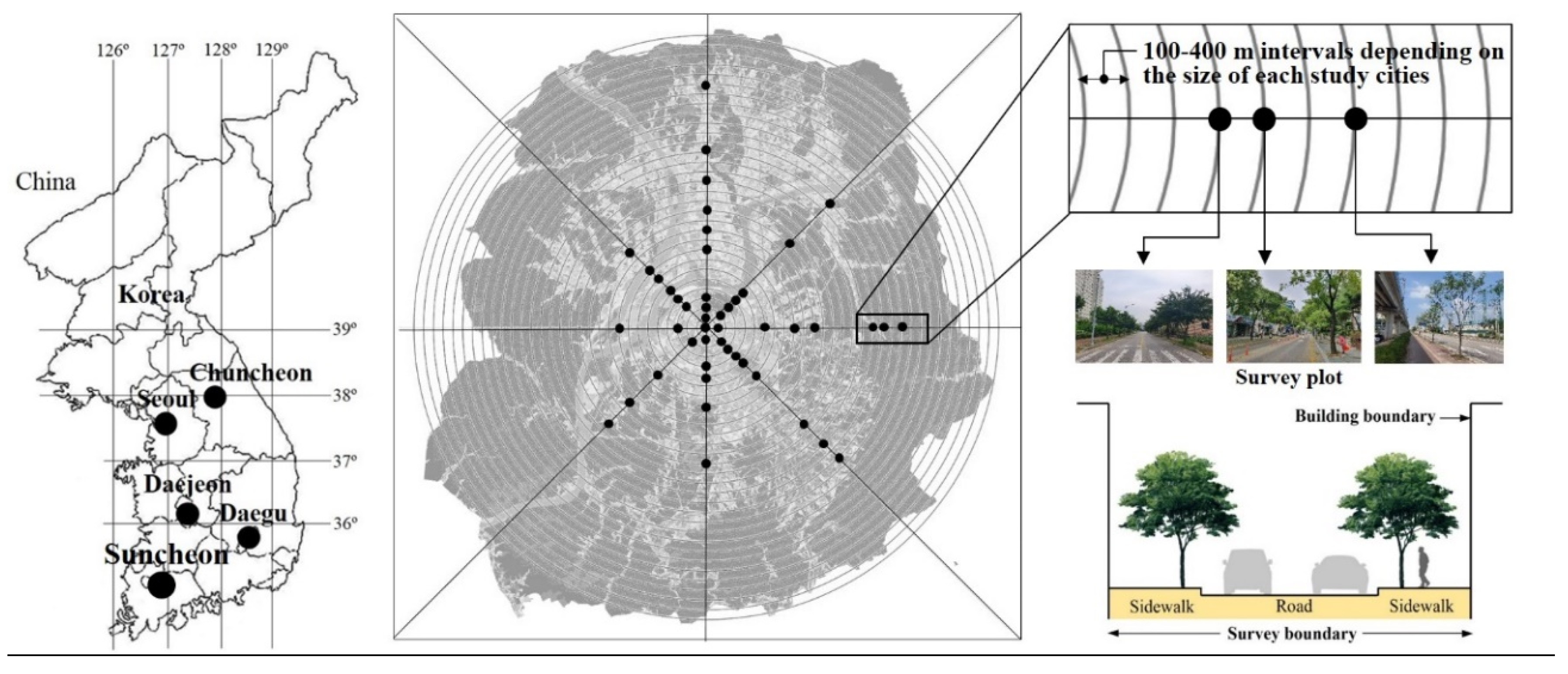 Sustainability 12 10414 g001 Sustainability 12 10414 g001